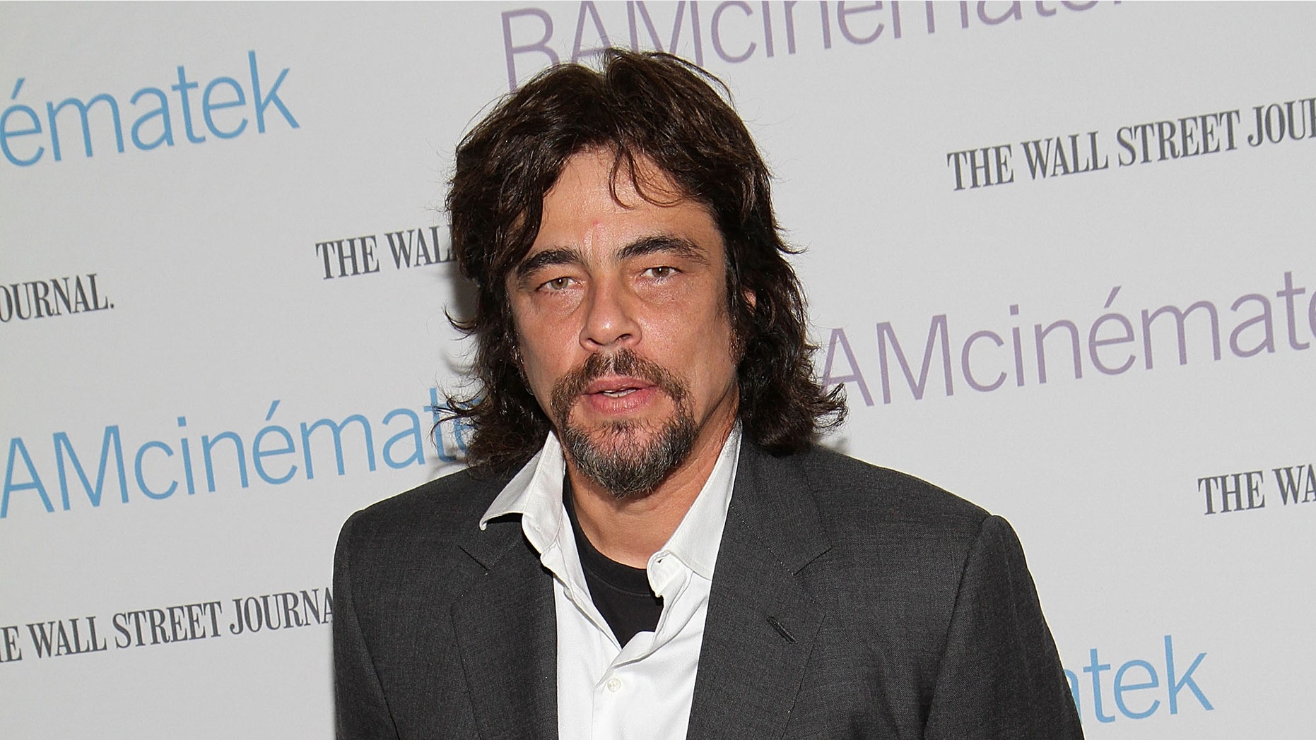 NEW YORK, NY - APRIL 22: Actor Benicio del Toro the benefit screening of "The Naked Island" at BAM Rose Cinemas on April 22, 2011 in the Brooklyn borough of New York City. (Photo by Taylor Hill/Getty Images)
