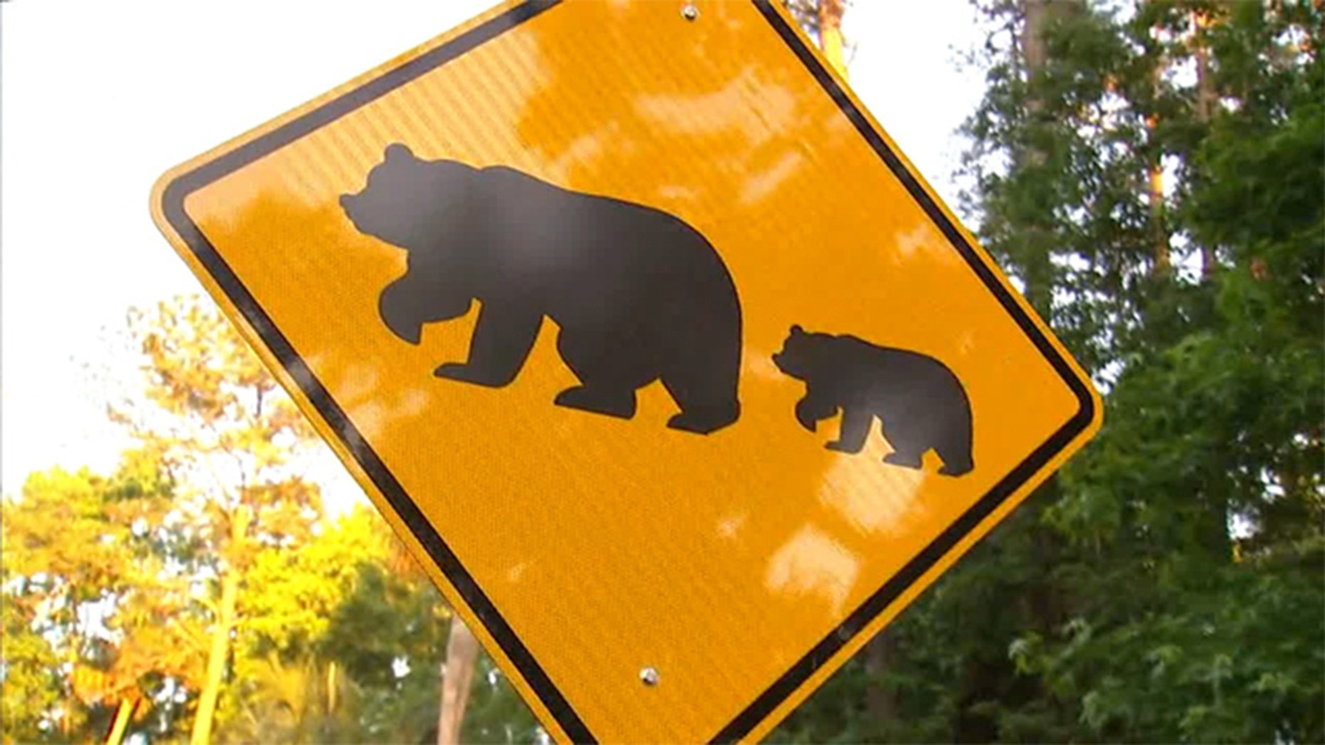 A bear crossing sign at a community in Longwood, Fla. Residents there say an aggressive bear has been attacking dogs this week.