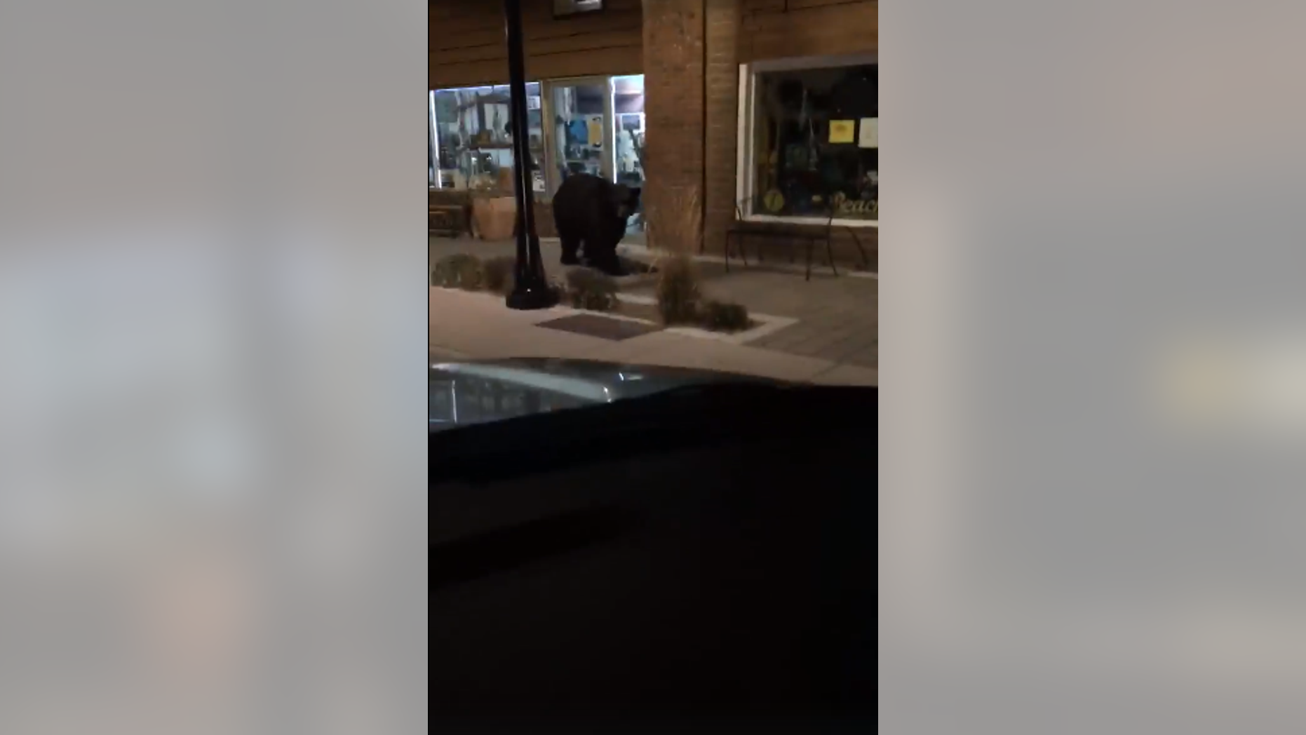 A bear was caught going for a late night stroll in Kings Beach, Calif.