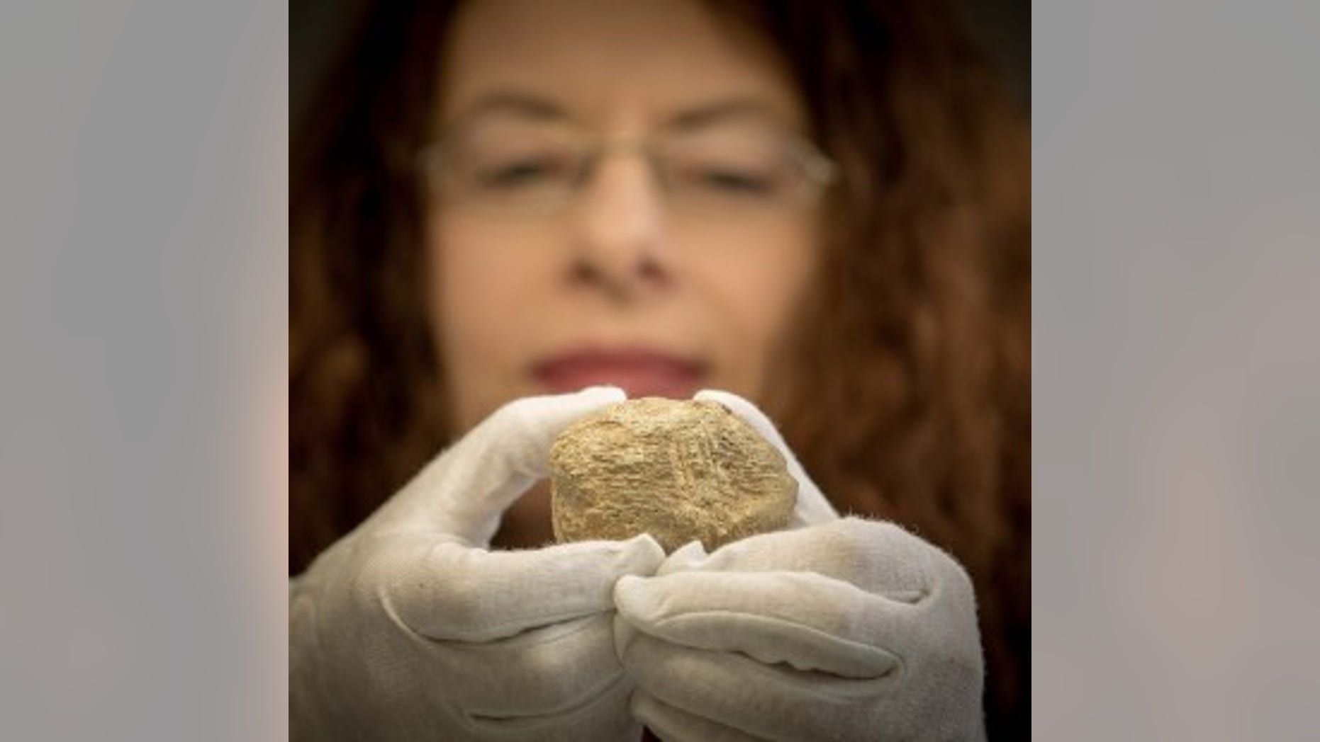 Dr Marion Dowd of IT Sligo with the brown bear bone in the Institute’s archaeology lab.(Picture by James Connolly PicSell8)