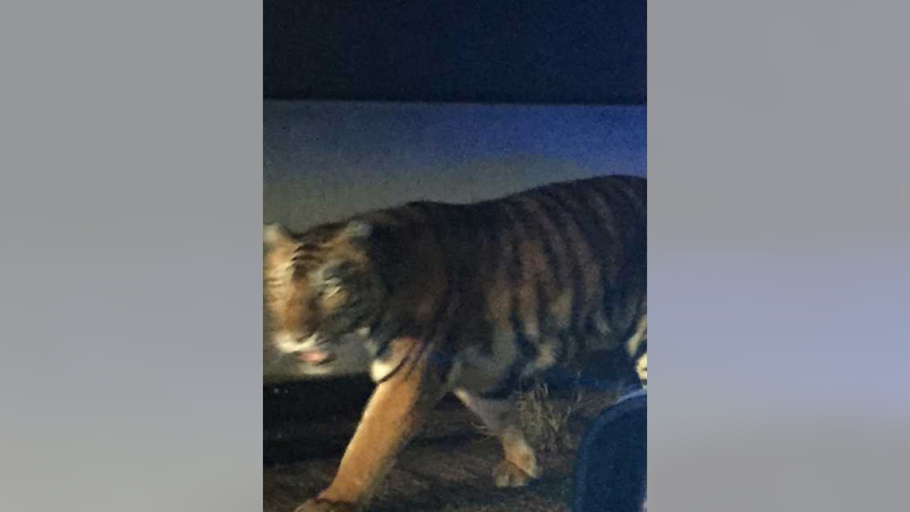 (Credit: Henry County Police Department)