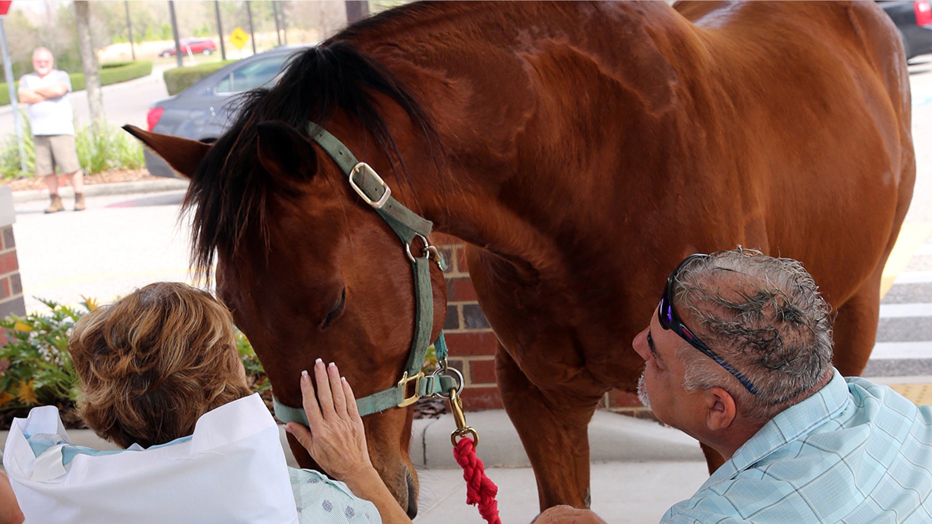 Christine Carbonneau gets a visit from her beloved horse during her stay in a Florida hospital where she spent four weeks in an induced coma.