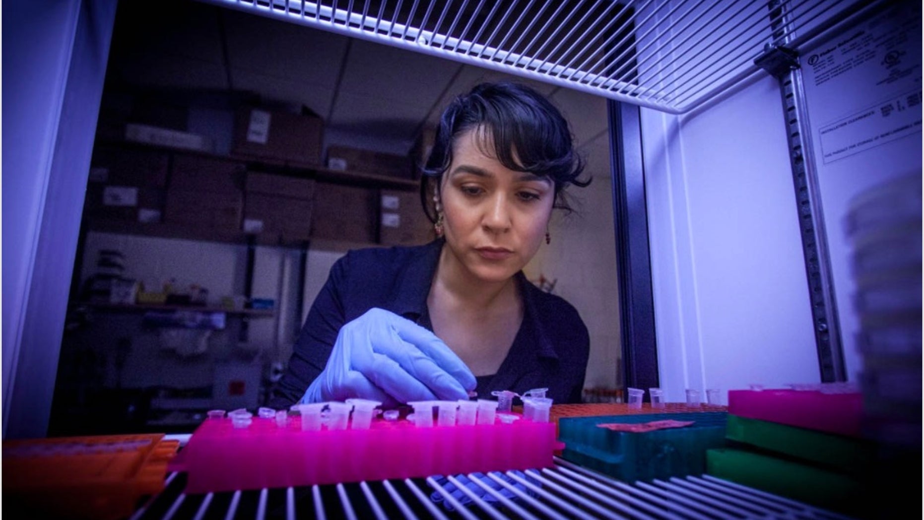 Betül Kacar in her lab.