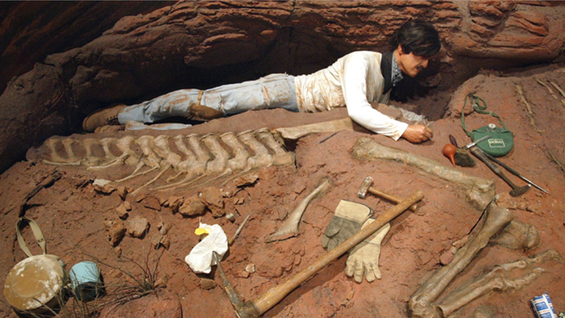 Dinosaur graveyard found in Mexico yields biggest number of specimens ever | Fox News