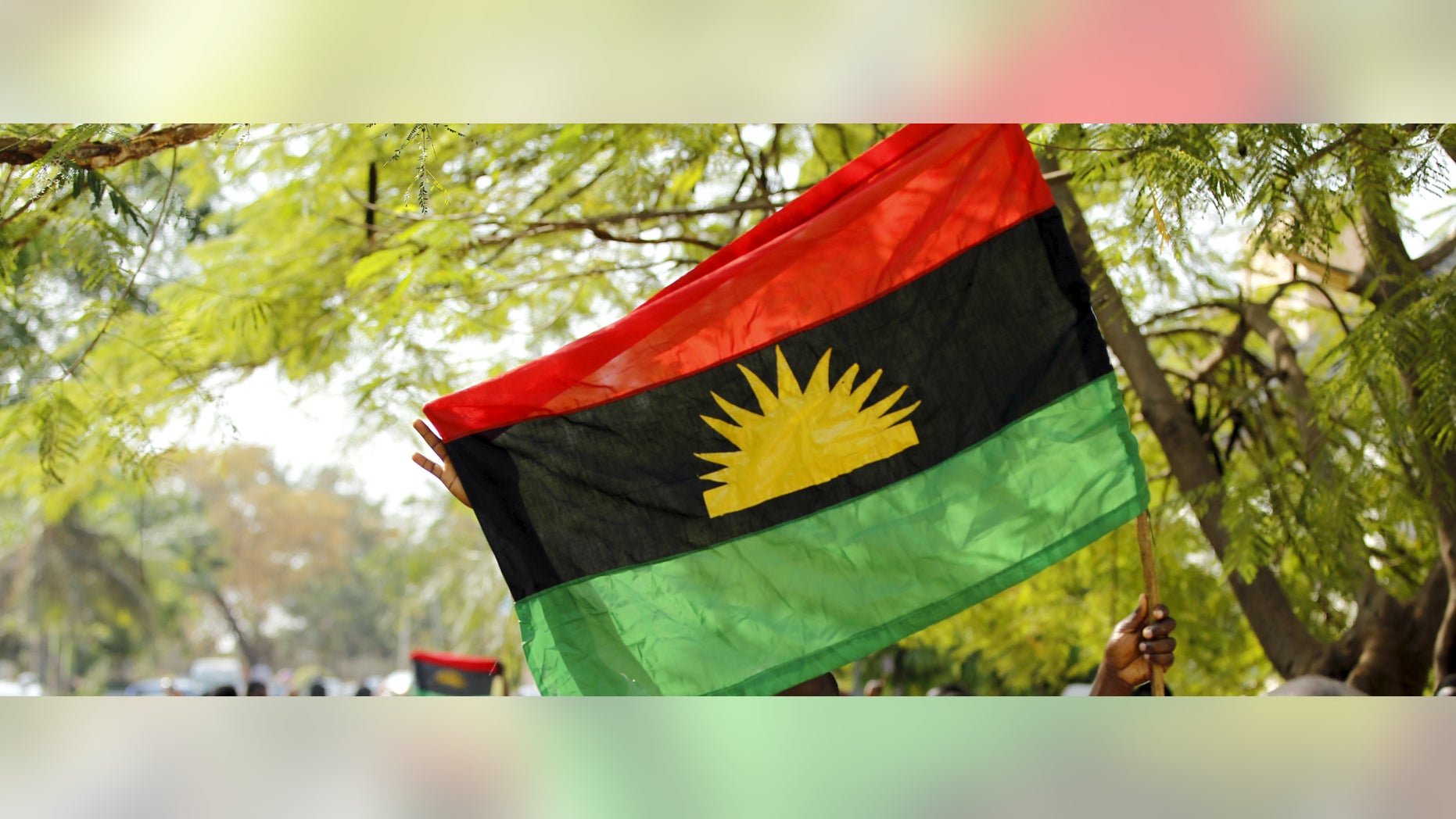 The Biafran flag at a rally in December.