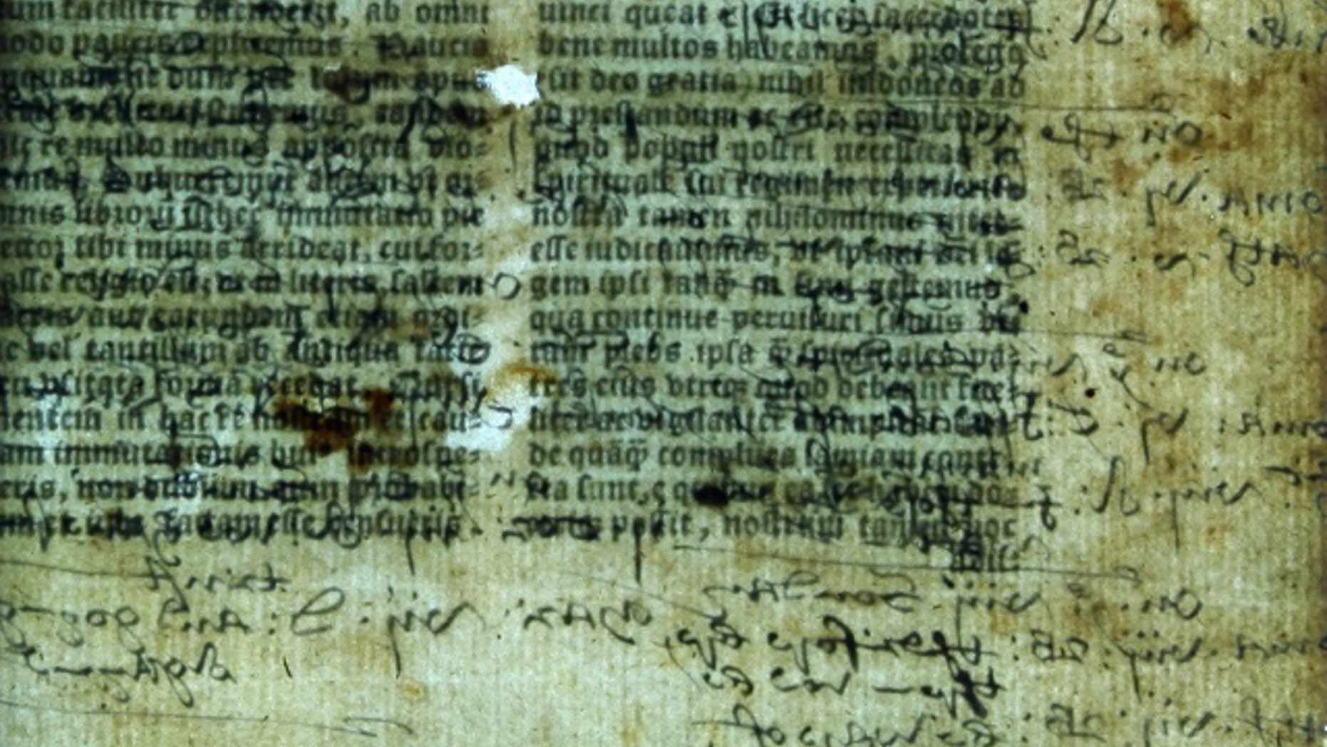 The bible's printed text and annotations (Lambeth Palace Library).