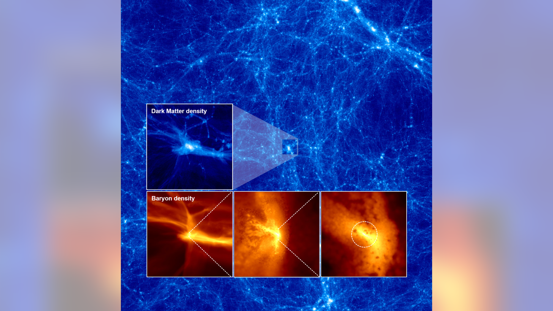Projected distributions of density for dark matter (background and top panel) and gas (bottom three panels) as a massive star forms. The distribution is an asymmetrical, wedge-shaped structure. In the right panel, you can see a gravitationally unstable region that is 26,000 times the mass of the sun.