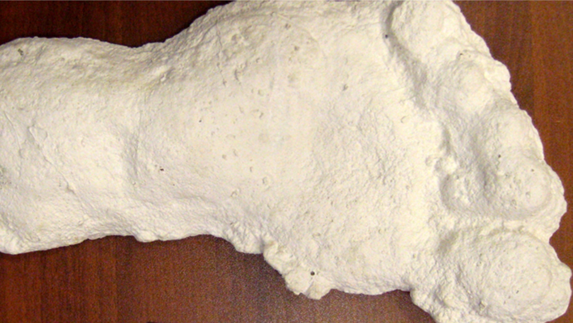 A cast of a supposed Bigfoot print taken from Siberia.