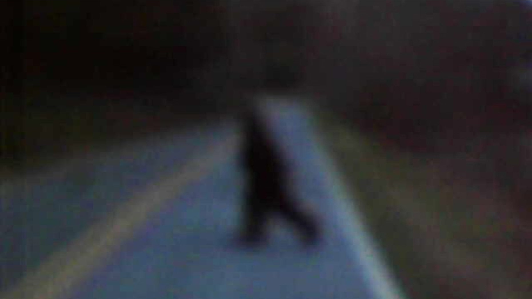 Bigfoot?