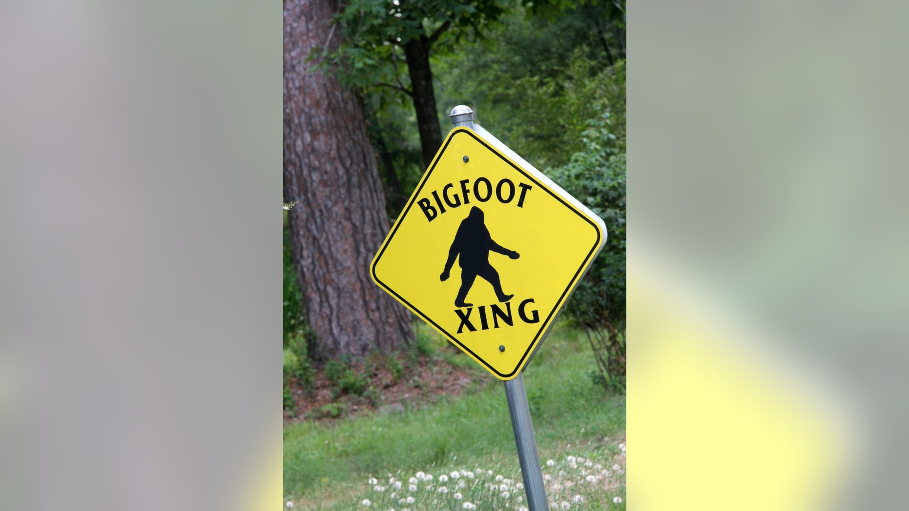 Big Foot Signs Big Foot Signs