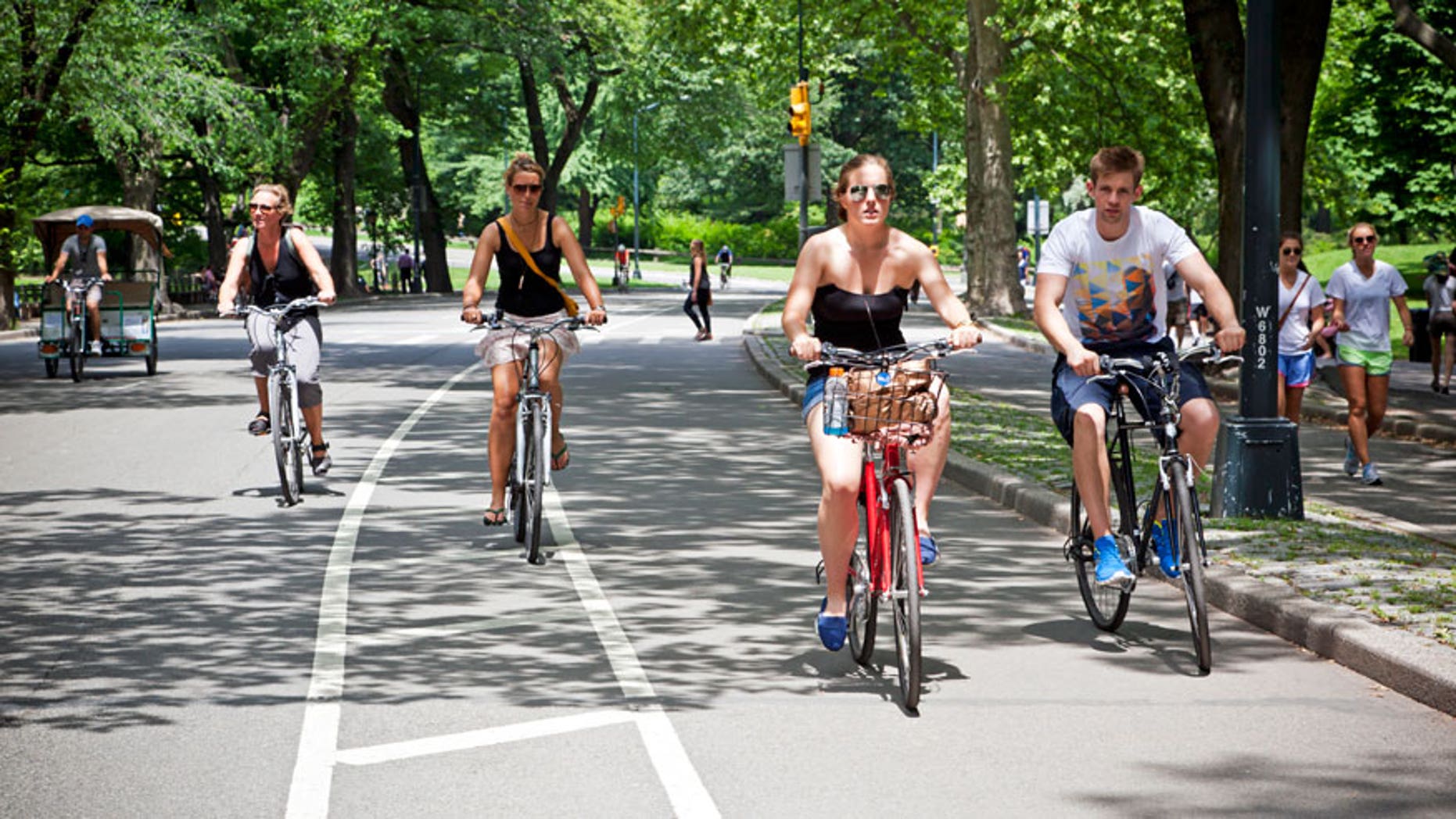 Cyclists in Central Park
