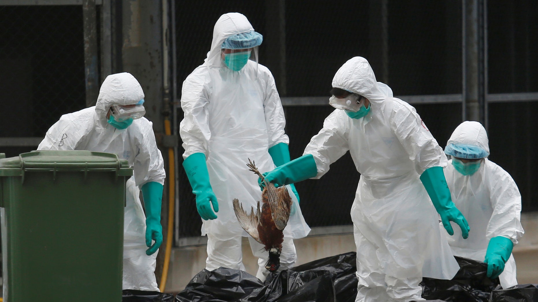 China confirms latest human death from H7N9 bird flu | Fox News