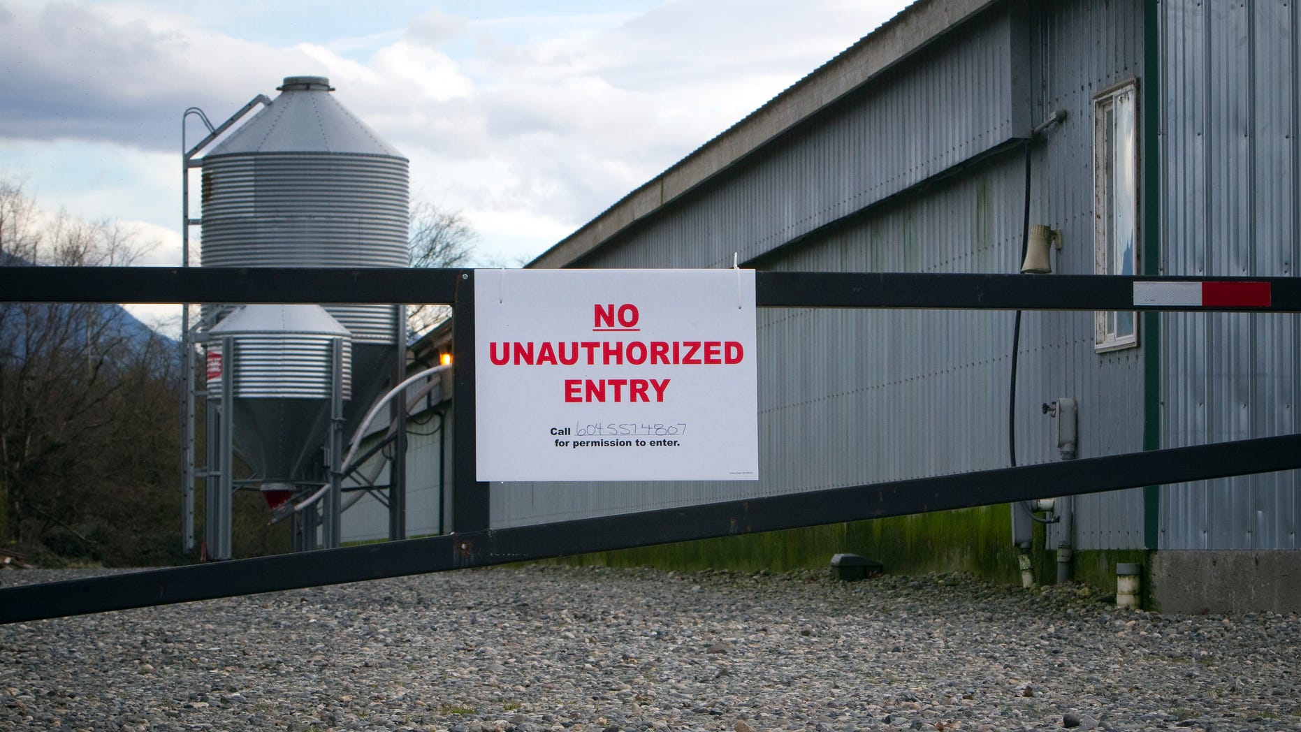 Dec. 8, 2014: A view of a poultry farm under quarantine due to bird flu, or avian influenza, in Chilliwack, British Columbia.