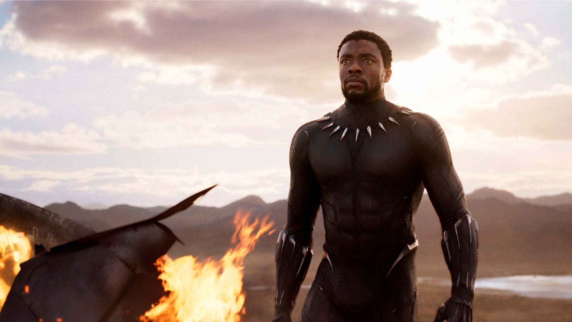 Disney is facing backlash online over their collector's pin of the Black Panther, with many outraged that his skin tone appears too light.