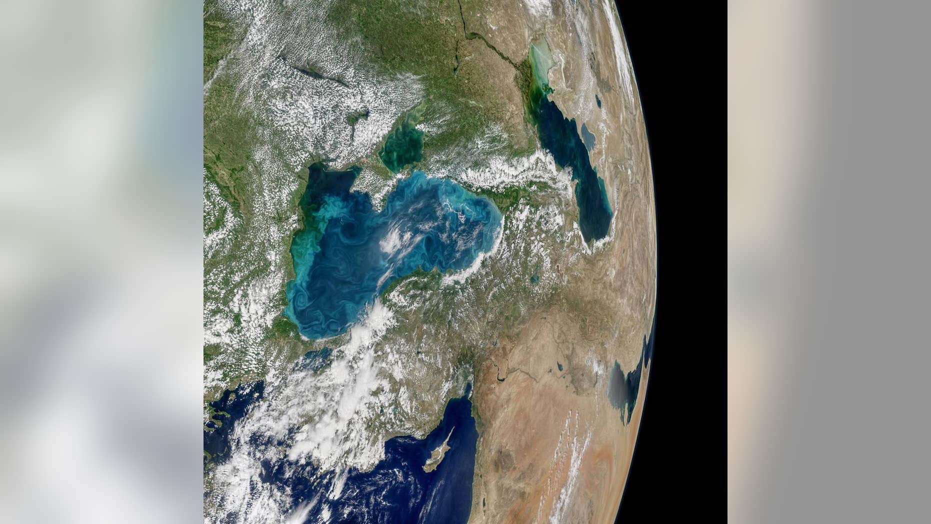 Phytoplankton swirl in the Black Sea in this image from NASA's Aqua satellite.