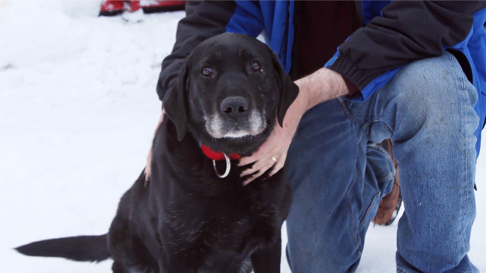 Feb. 26, 2015: Ed Davis poses with his dog Madera at his home.