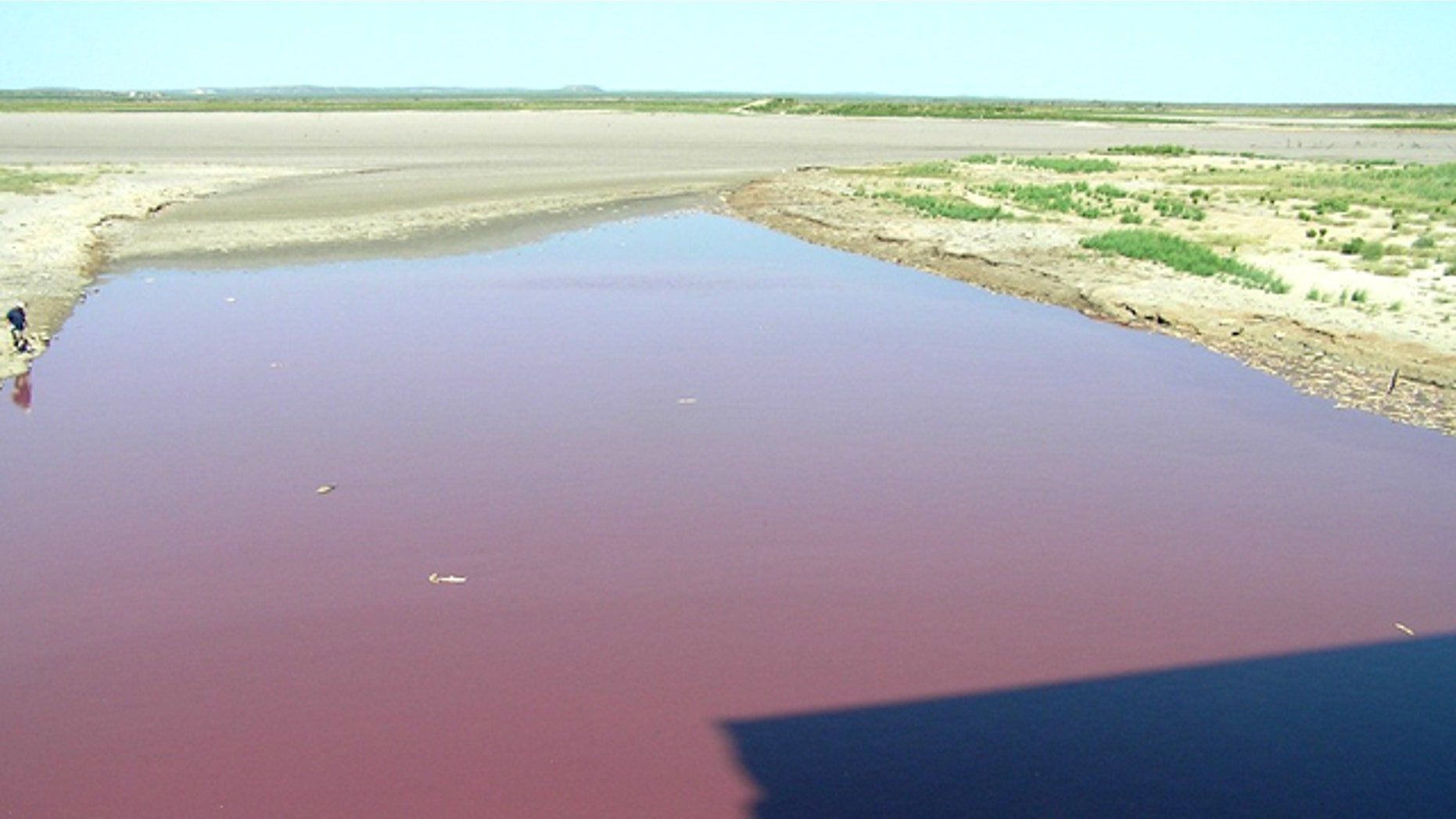 OC Fisher, a reservoir in West Texas, turned blood-red in recent weeks what's left of it anyway. Due to unrelenting drought in Texas, the lake has almost entirely dried up, leaving thousands of dead fish behind. As of the last week in July, when this photo was taken, bacteria had turned the stagnant dregs of the lake red.