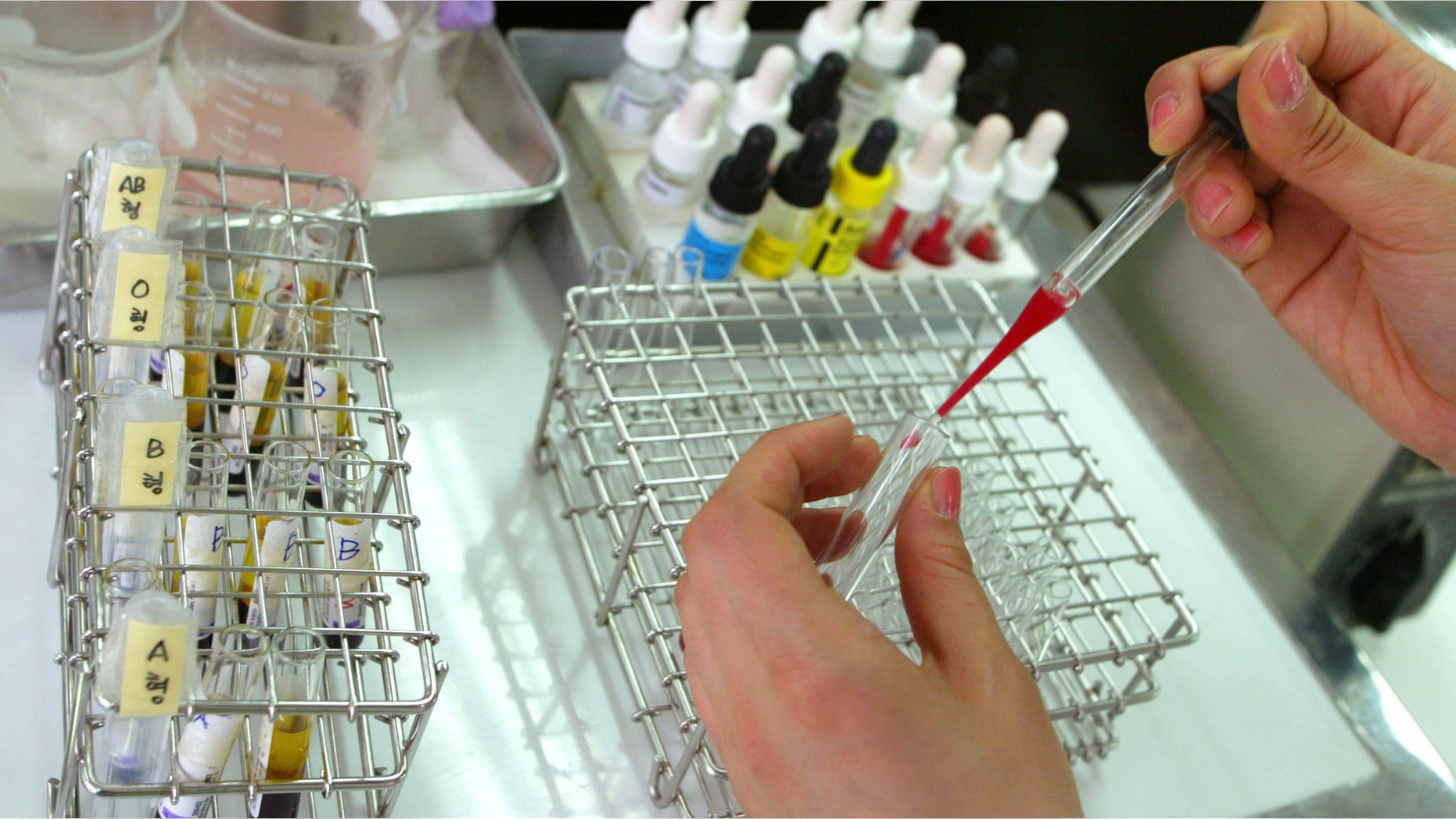 SEOUL - APRIL 18: A researcher holds up a vial of blood at a Red Cross Blood Center April 18, 2005 in Seoul, South Korea. Many South Koreans believe that blood type has an affect on compatibility and love. (Photo by Chung Sung-Jun/Getty Images)