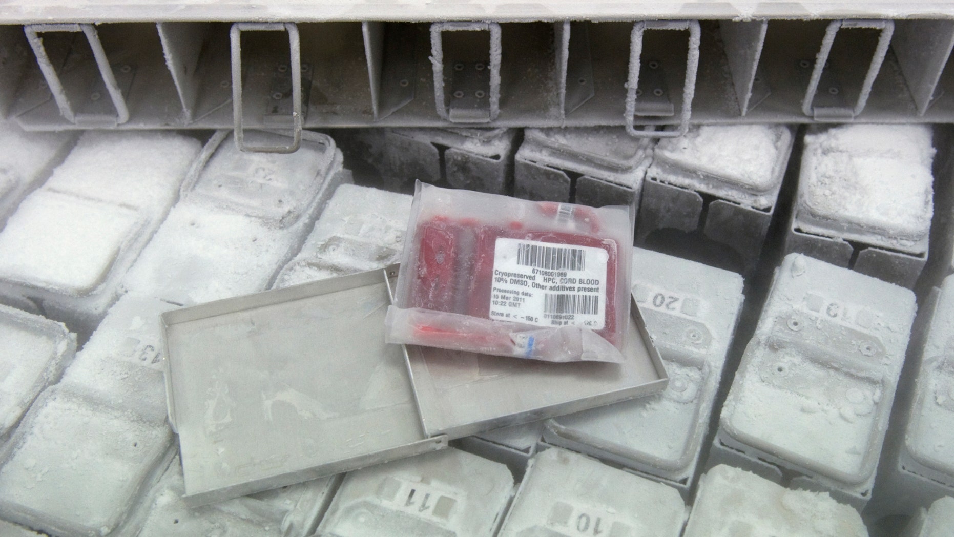 File photo: Cryopreserved cord blood in a cryogenic tank for blood storage seen at the French Blood Service building in Creteil near Paris September 2, 2011. (REUTERS/Gonzalo Fuentes)