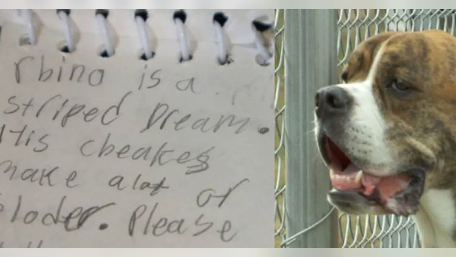 The note tells whoever adopts Rhino that the dog isn't fond of water, snow or cats.