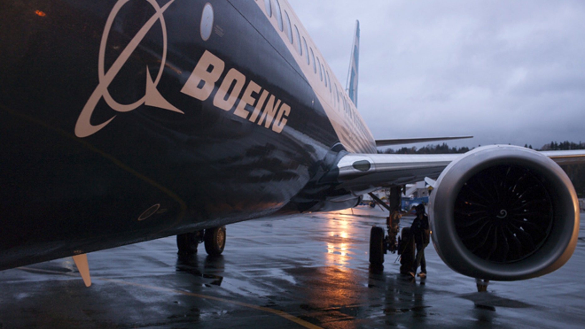 Darshan-Leitner is pushing for the Trump administration to agree that Boeing should disclose details regarding its multi-billion dollar deal selling aircraft to the Iranian regime.