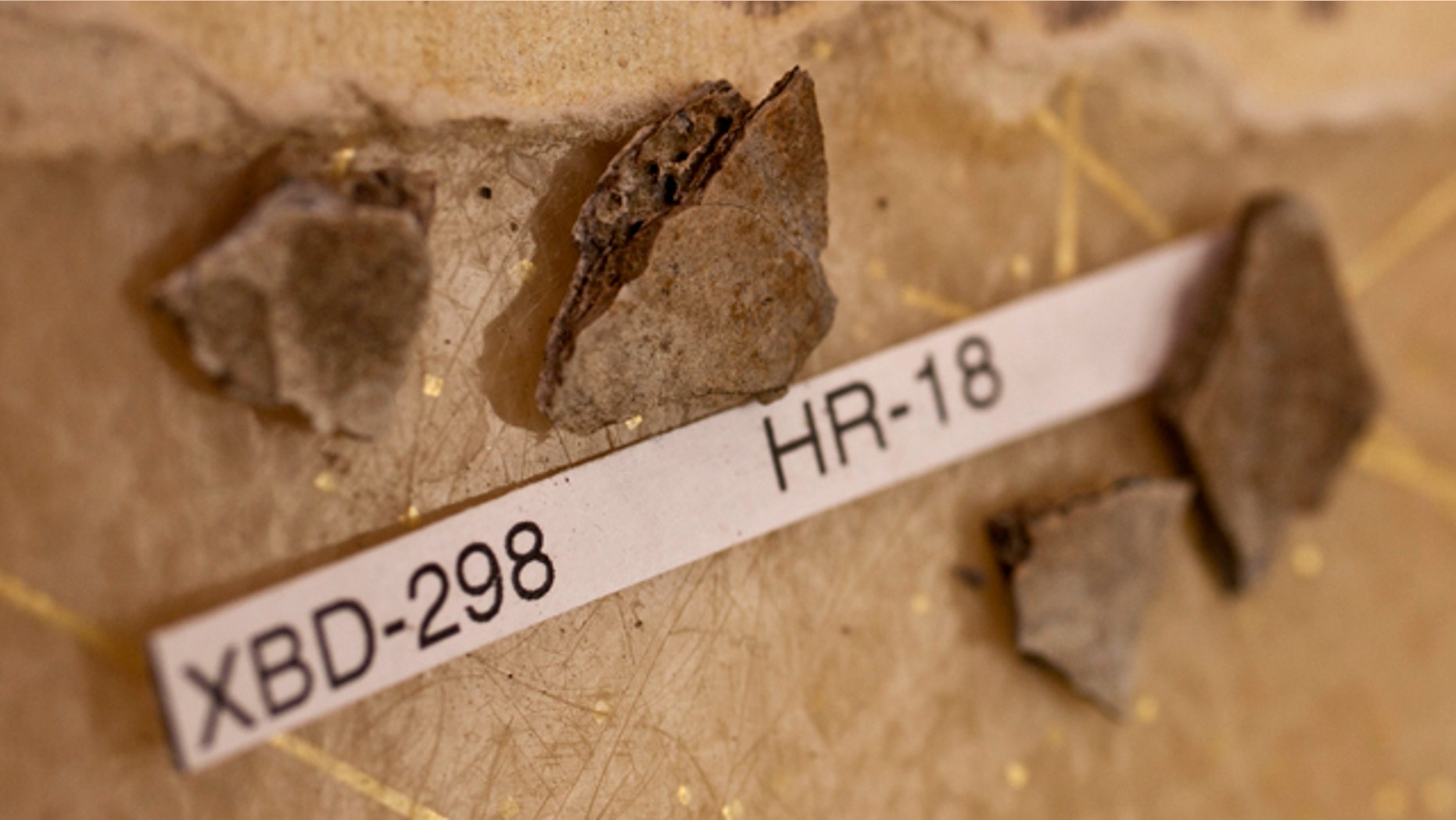 Fragments like these are among the remains discovered at the Upward Sun River site in Alaska.