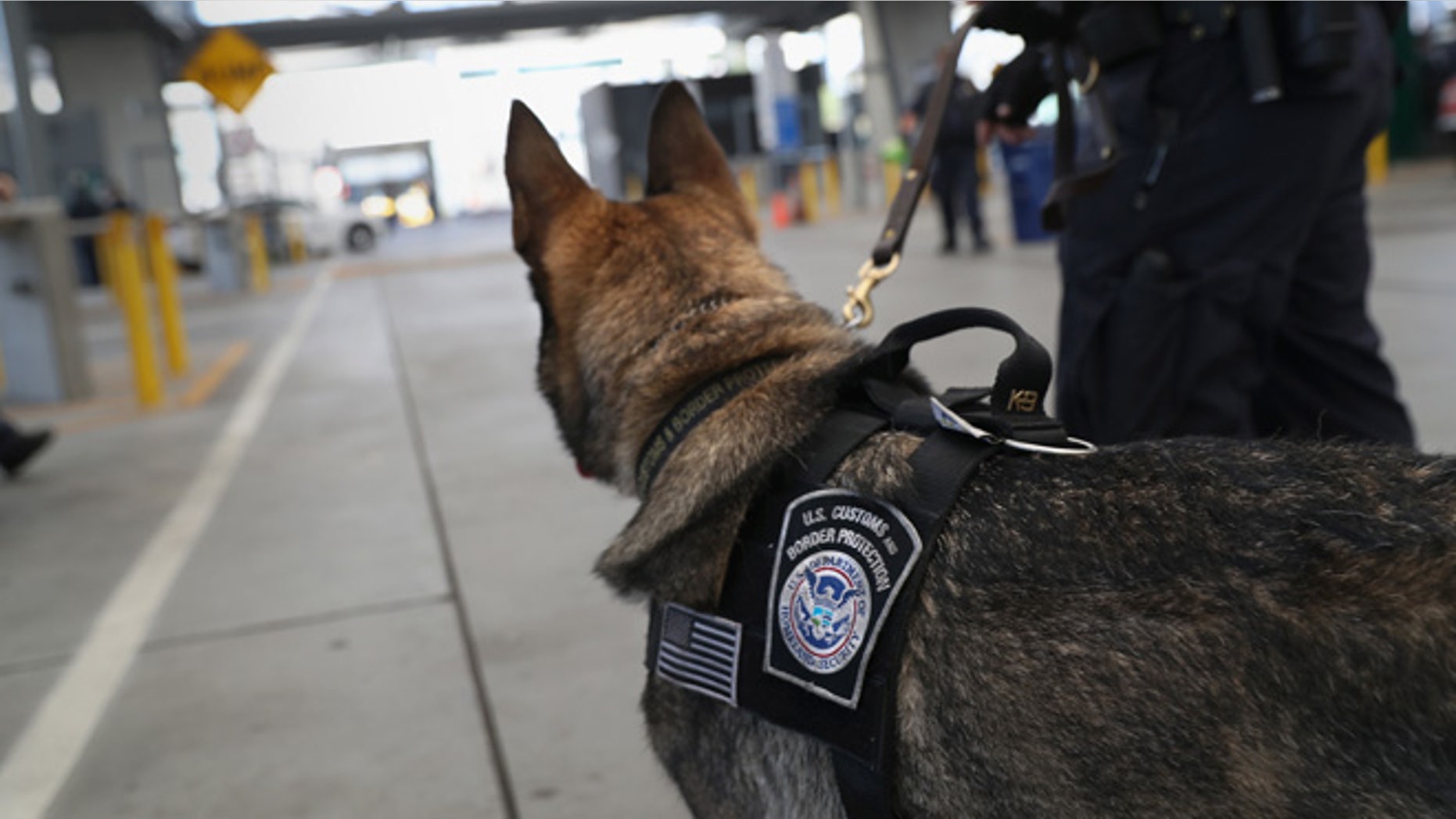 SAN YSIDRO, CA - SEPTEMBER 23: A U.S. Customs and Border Protection K-9 unit waits to check vehicles crossing into the United States from Mexico on September 23, 2016 in San Ysidro, California. Daily more than 10,000 people legally cross the border, mostly for work, at San Ysidro, making it the busiest port of entry on the 2,000 mile border between the United States and Mexico. Securing the border and controlling illegal immigration have become key issues in the U.S. Presidential campaign. (Photo by John Moore/Getty Images)