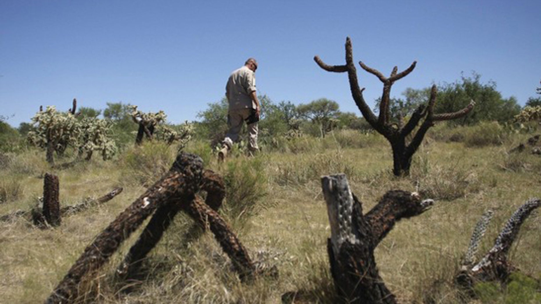 Border Patrol Agent Paul Du Bois searches for evidence from illegal immigrants along a dirt road in Pima County, Ariz., Aug. 17, 2009. (Reuters Photo)
