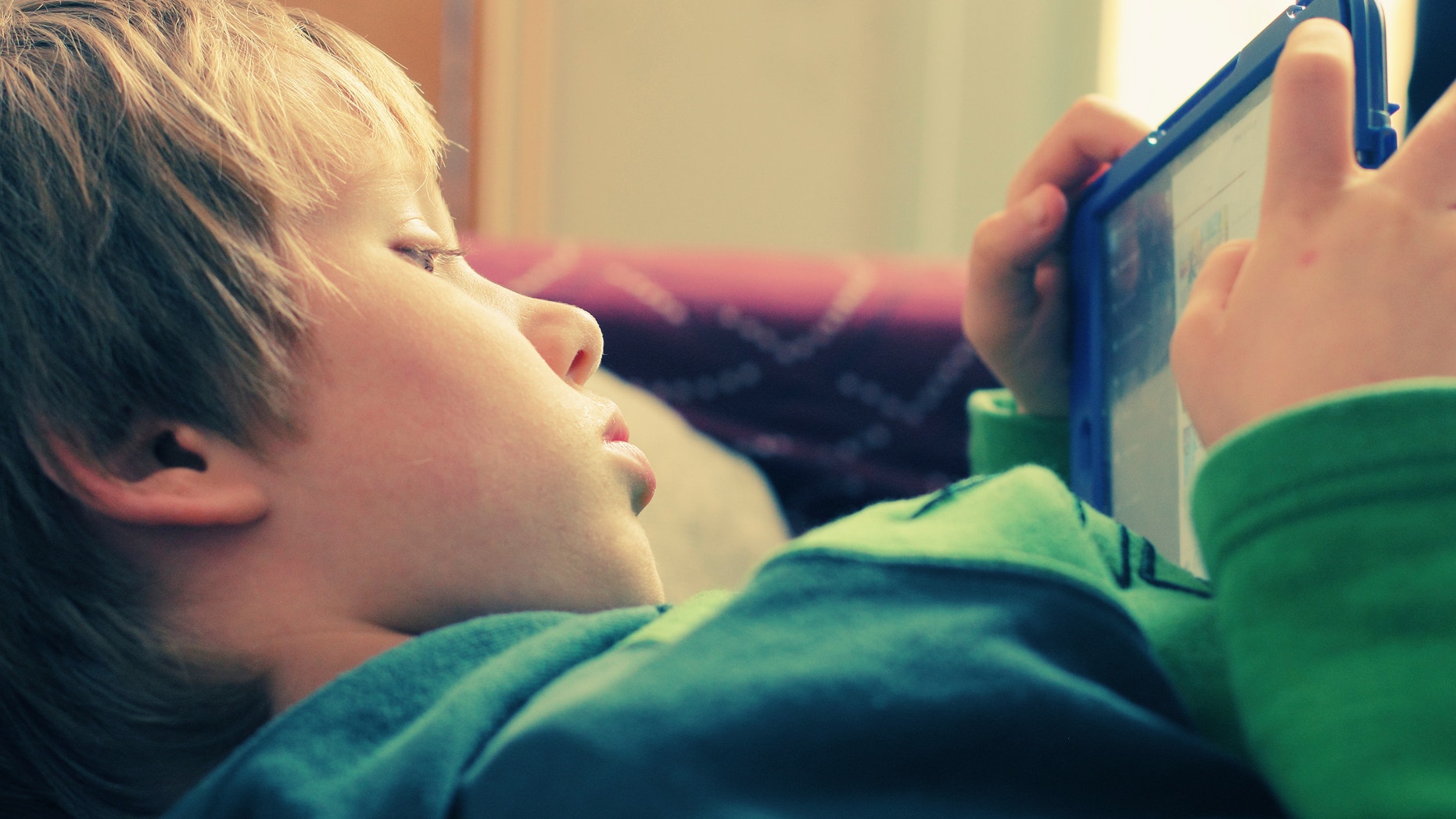 Cute boy using a laptop