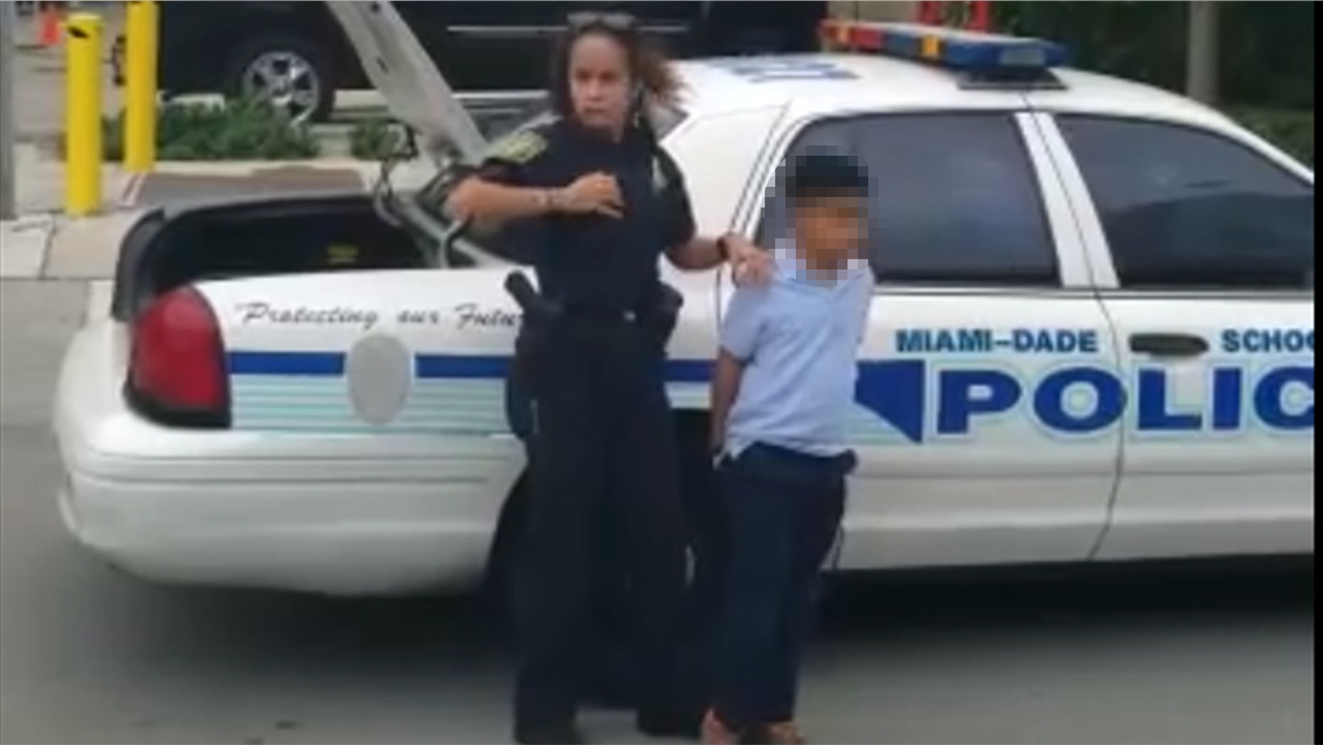 A 7-year-old boy is taken from school after allegedly punching a teacher.