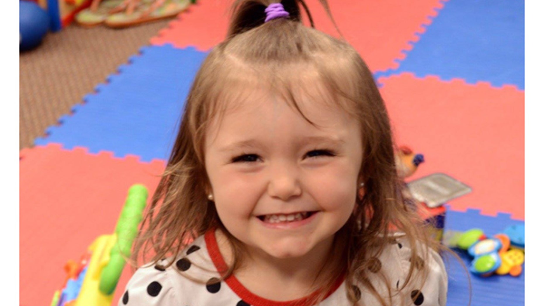 The Dalsing's 3-year-old adopted daughter, Braelynn, is pictured in a photo provided by the family.