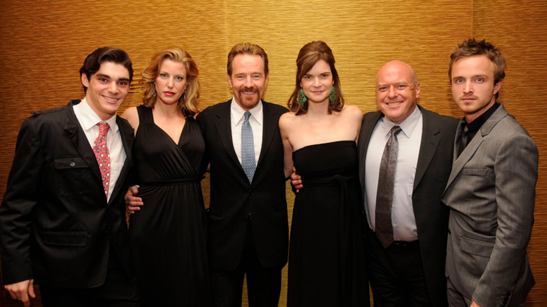 Breaking Bad Cast Picture 7537