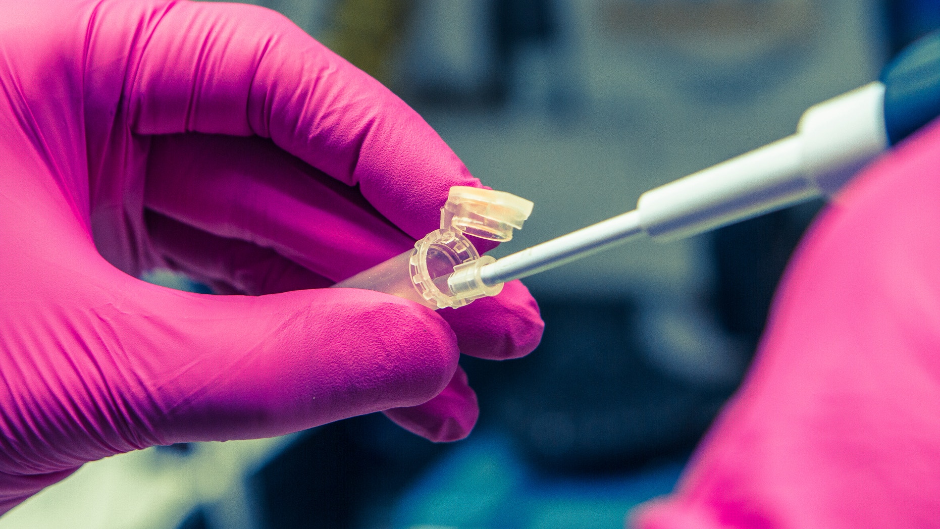 Pipette fills centrifuge tube for a scientific experiment