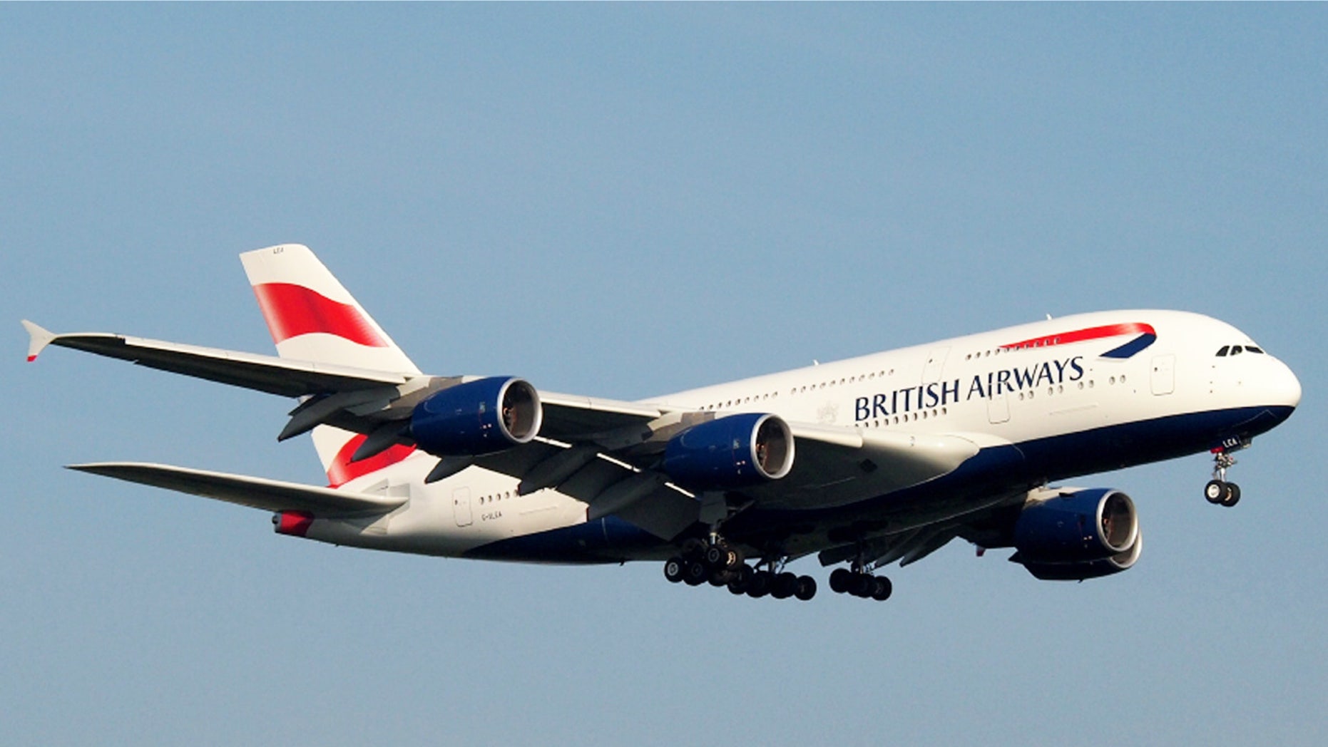 A British Airways passenger was bitten while trying to subdue another flier.