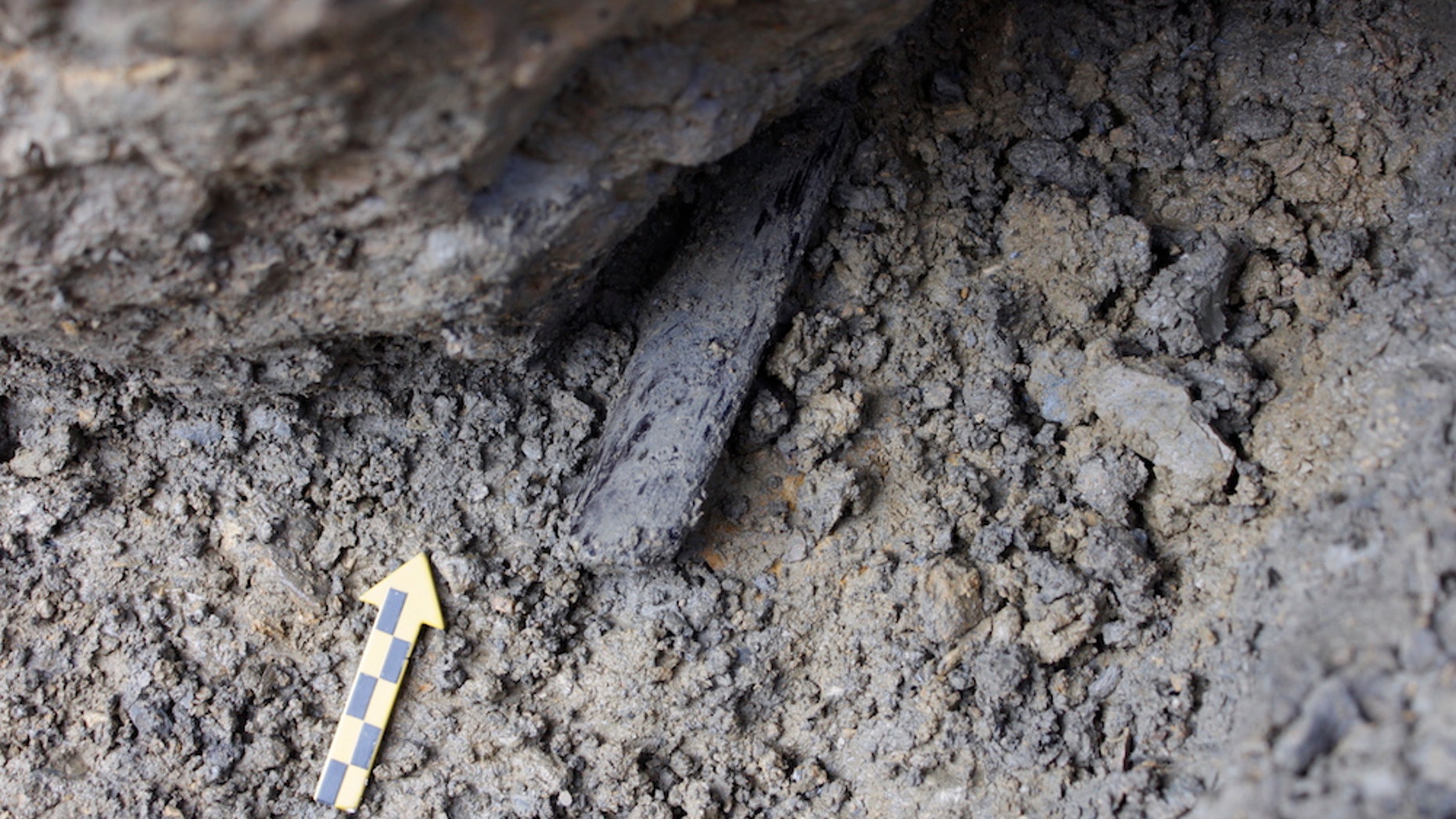 A fragment of a Bronze-Age elm wood bow found during an excavation in the Lötschberg Pass.