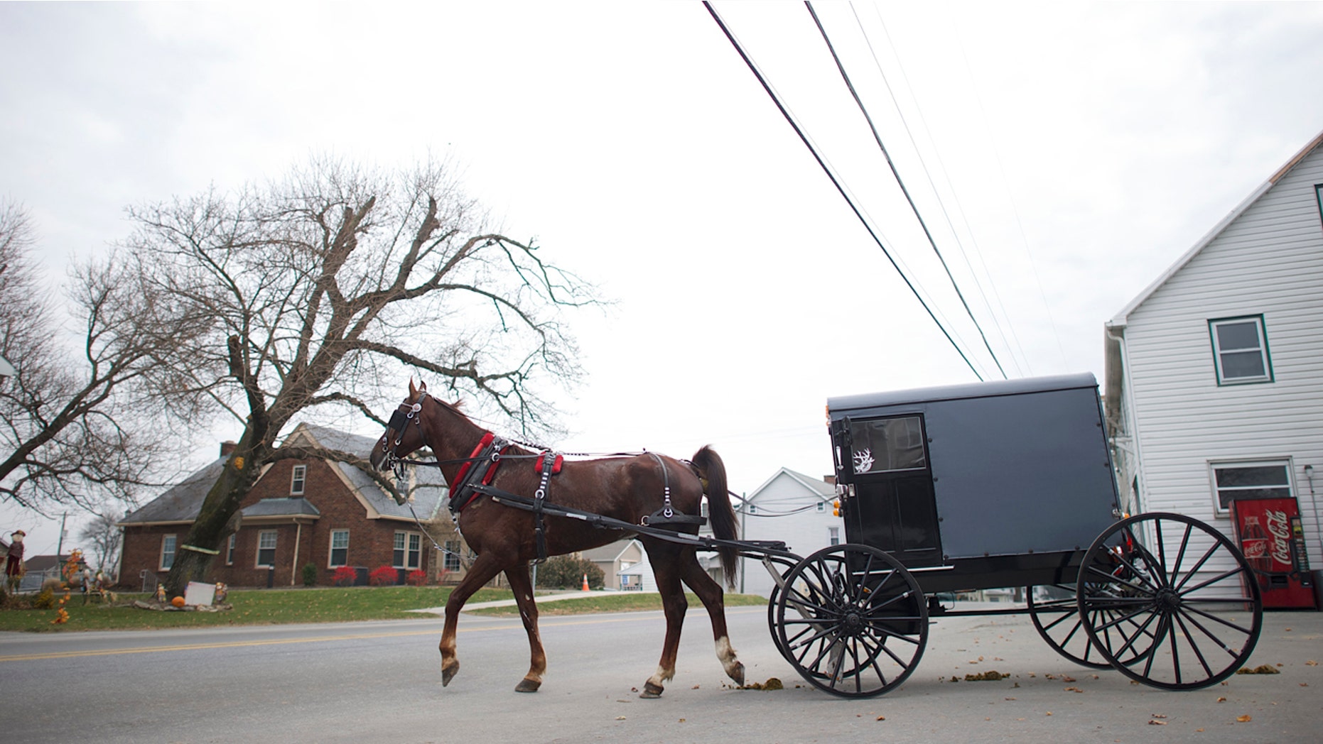 An Amish horse and buggy travels on a road in Bart Township, Pennsylvania December 1, 2013. On Oct. 2, 2006, Charles Roberts, 32, took 10 Amish girls hostage in their one-room schoolhouse in rural Pennsylvania, lined them up and shot them in the head. He then killed himself. Along with that, Terri Roberts herself became a victim, forced to confront life knowing that her son had committed such an atrocity. When the Amish forgave her son, it allowed Roberts, who is not Amish, to forgive him as well. Picture taken December 1, 2013. REUTERS/Mark Makela (UNITED STATES - Tags: CRIME LAW SOCIETY) - RTX165AM