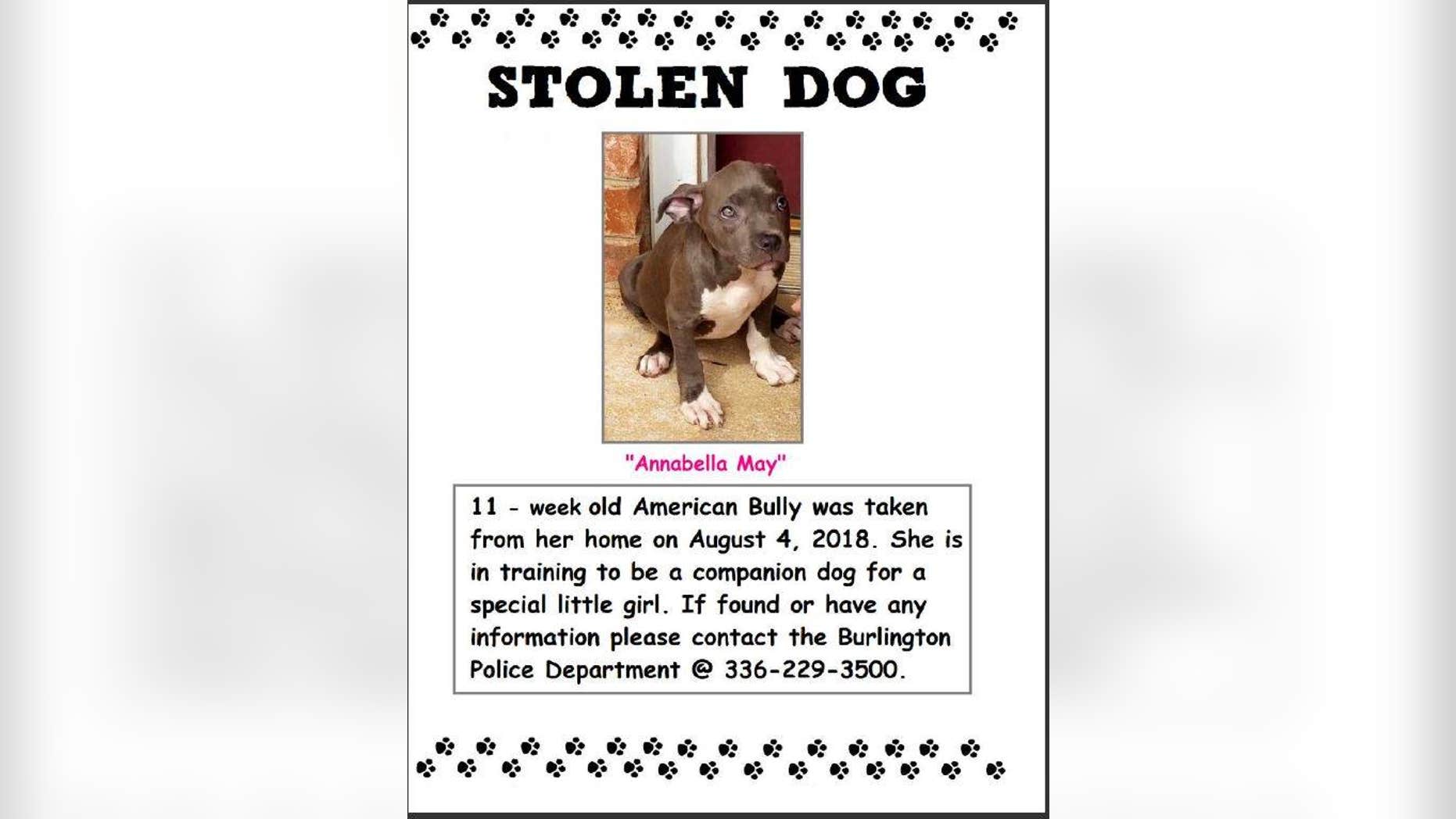 The puppy was stolen a week ago.
