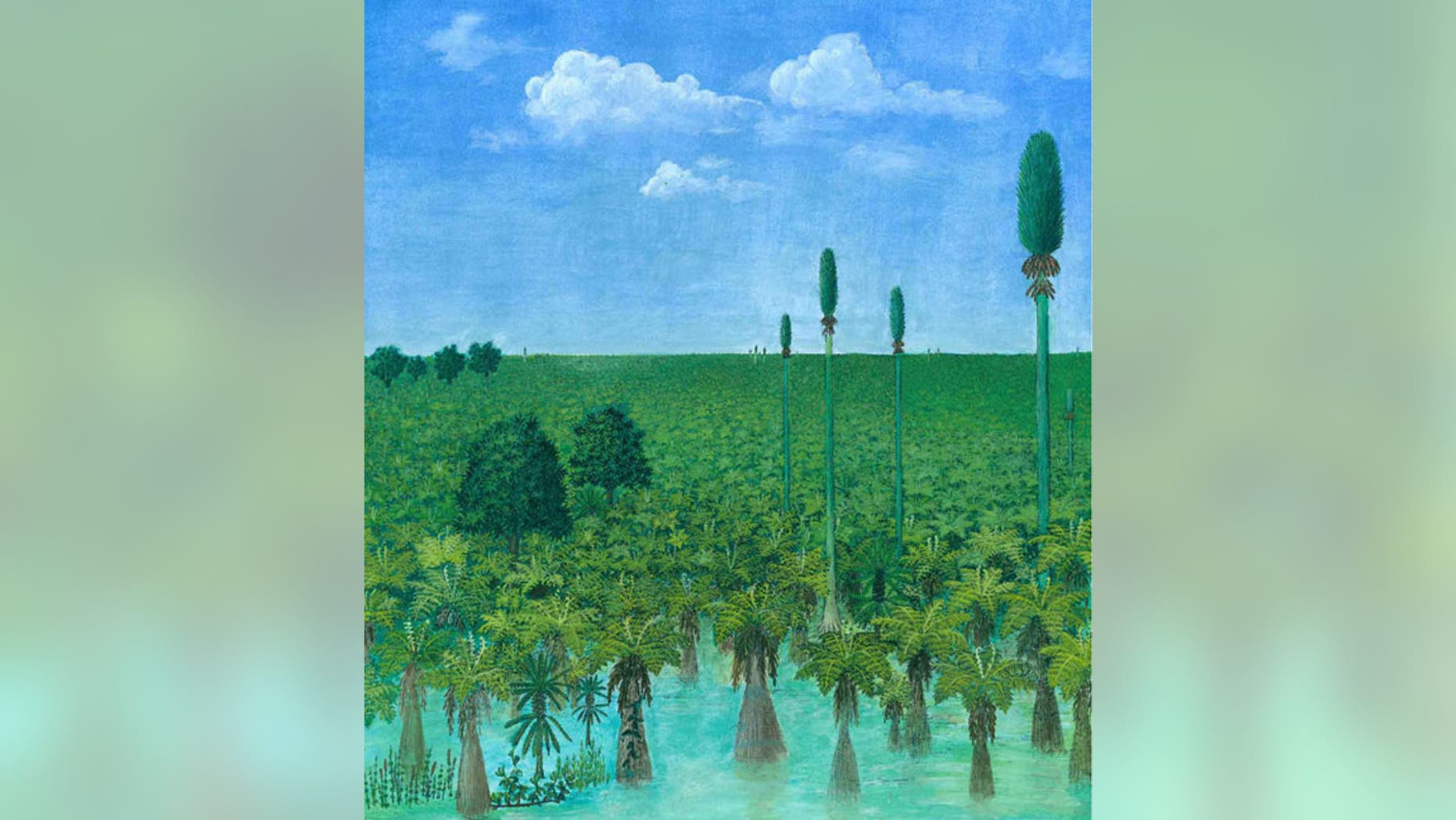 An artist's painting of a tropical forest before it was preserved in volcanic ash 300 million years ago in what is now Inner Mongolia.