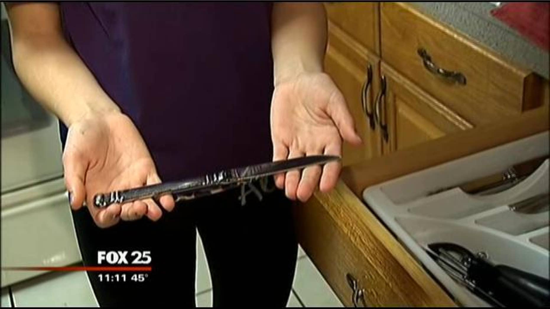 March 28, 2013: This photo shows the butter knife that Wamsutta Middle School student Morgan LaPlaume, brought to school.