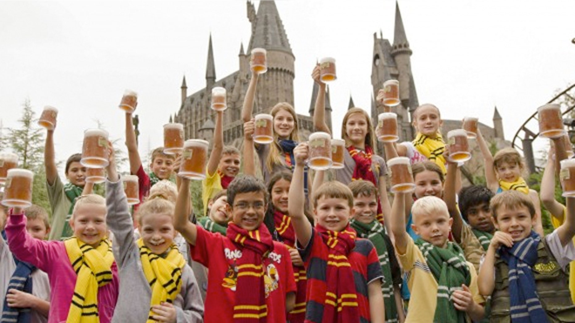 Some of the 1,000 guests at Islands of Adventure who celebrated the 5 millionth serving of Butterbeer with a complimentary mug of the drink.