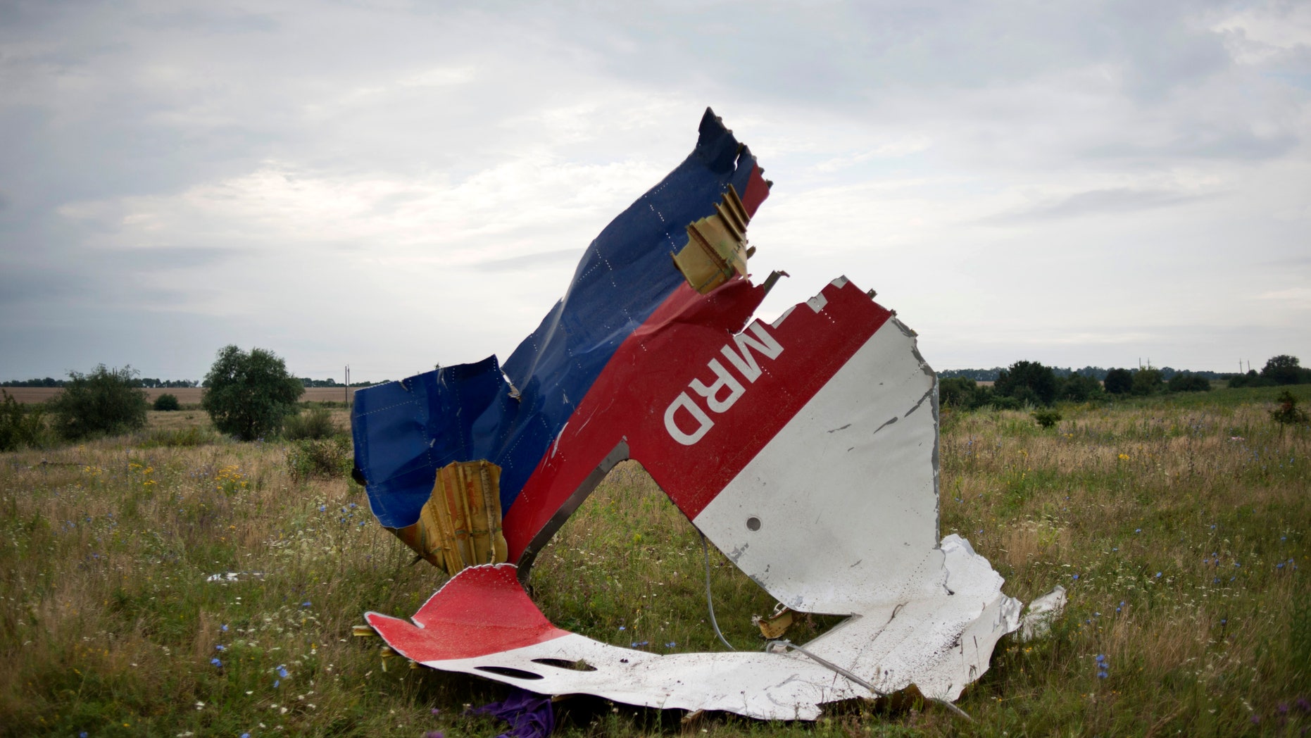A piece of the crashed Malaysia Airlines Flight 17 near the village of Hrabove, Ukraine, July 19, 2014.