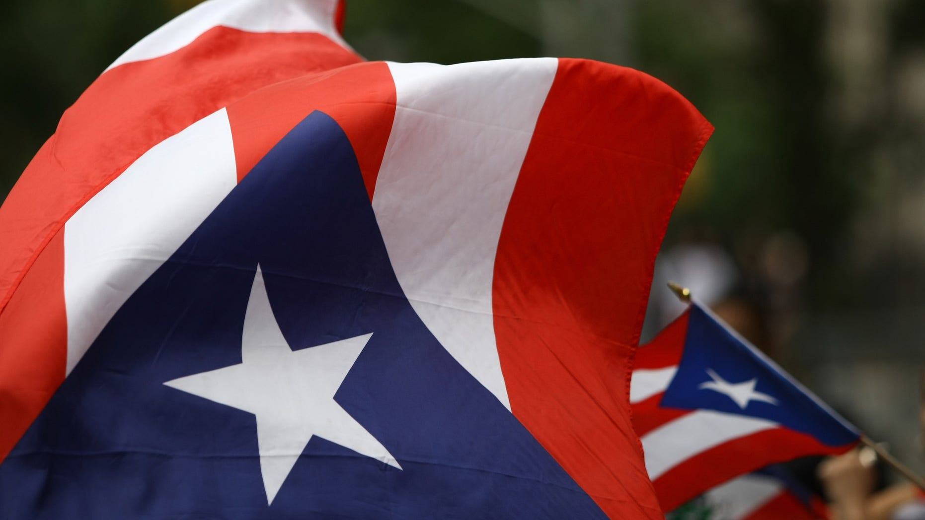 NEW YORK - JUNE 14: Revelers celebrate during the 2009 Puerto Rican Day Parade on the streets of Manhattan on June 14, 2009 in New York City. (Photo by Neilson Barnard/Getty Images)