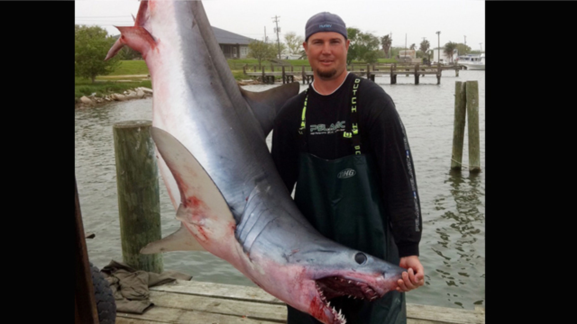In this photo provided March 29, 2011, by Jason Kresse shows Kreese with a 375-pound, 8-foot long mako shark at a dock in Freeport, Texas. Kresse tells The Associated Press that the mako shark leapt into his boat while he and two others were fishing for red snapper in the Gulf of Mexico on Monday.