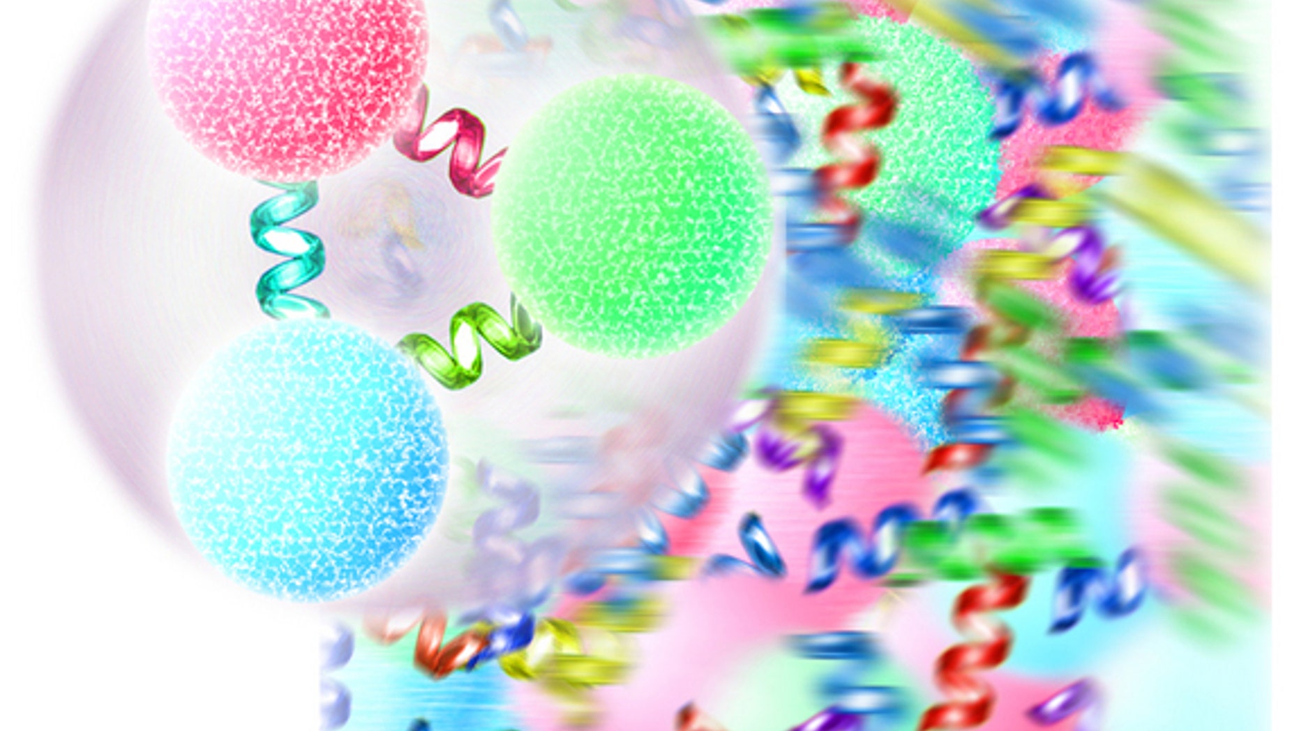 An ordinary proton or neutron (foreground) is formed of three quarks bound together by gluons, carriers of the color force. Above a critical temperature, protons and neutrons and other forms of matter "melt" into a hot, dense soup of free quarks and gluons (background), the quark-gluon plasma.
