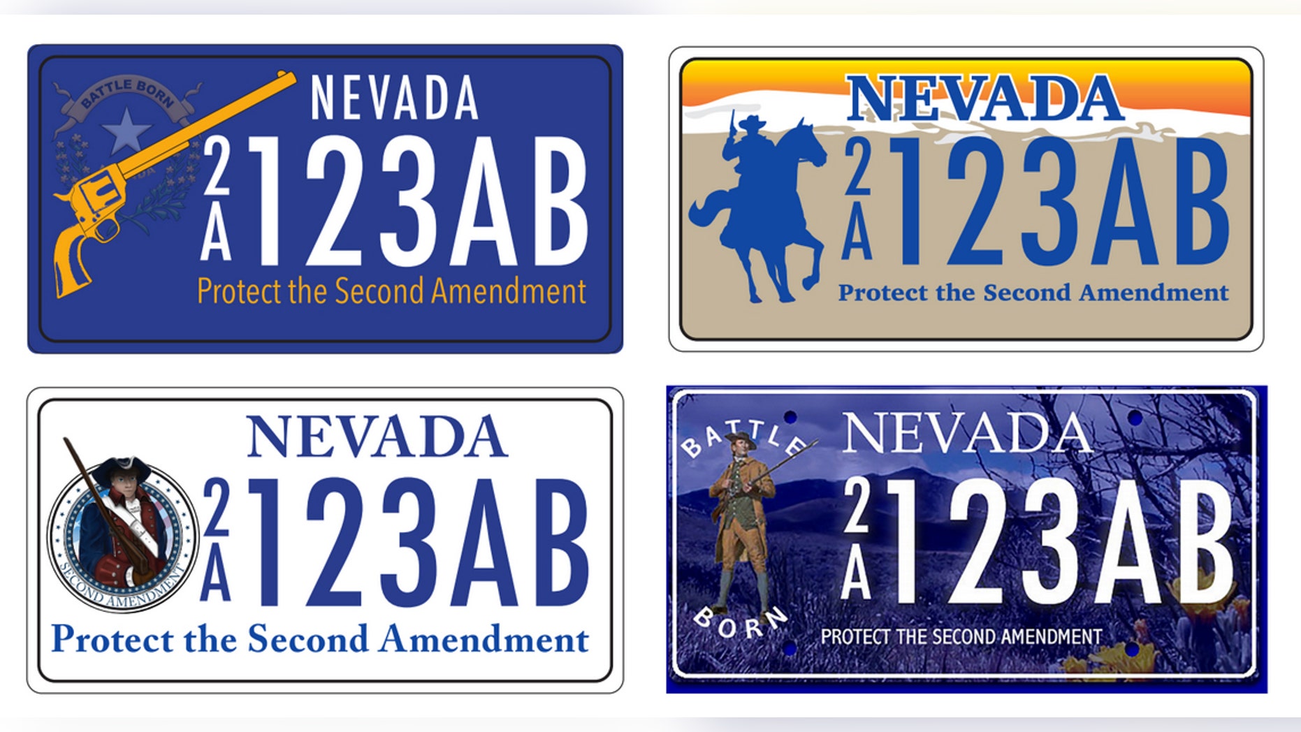 Voters are selecting between these four plates.