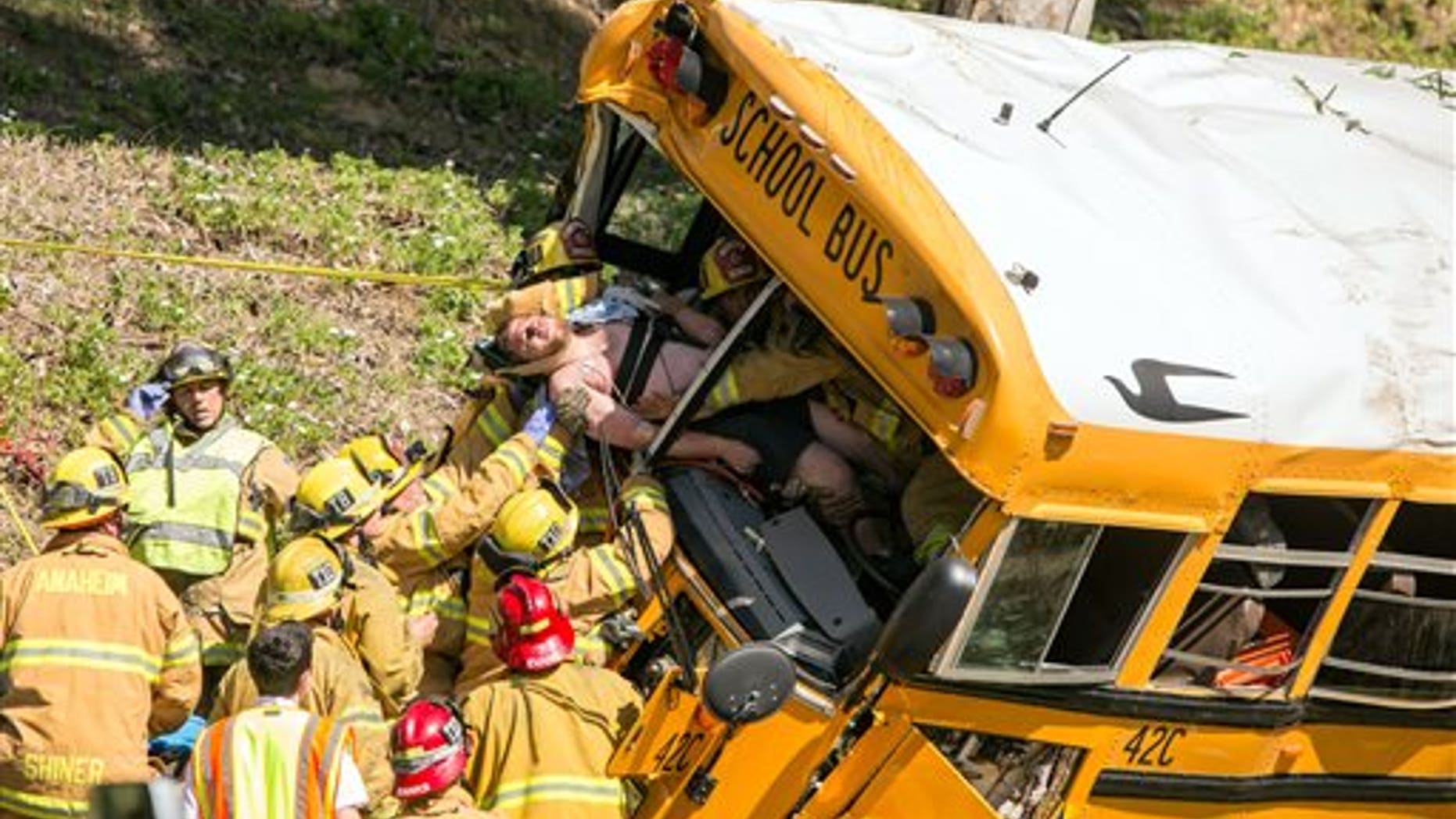 Firefighters extricate the driver from the front of a school bus that crashed, Thursday, April 24, 2014, in Anaheim, Calif. Three of the injured, the driver and two of the children, were taken to hospitals in critical condition after the crash, Anaheim police Lt. Bob Dunn said. The other nine students had minor injuries, and most of them were released to their parents. Police say no other vehicles were involved in the crash and there is no immediate word on the cause. (AP Photo/Kevin Warn)