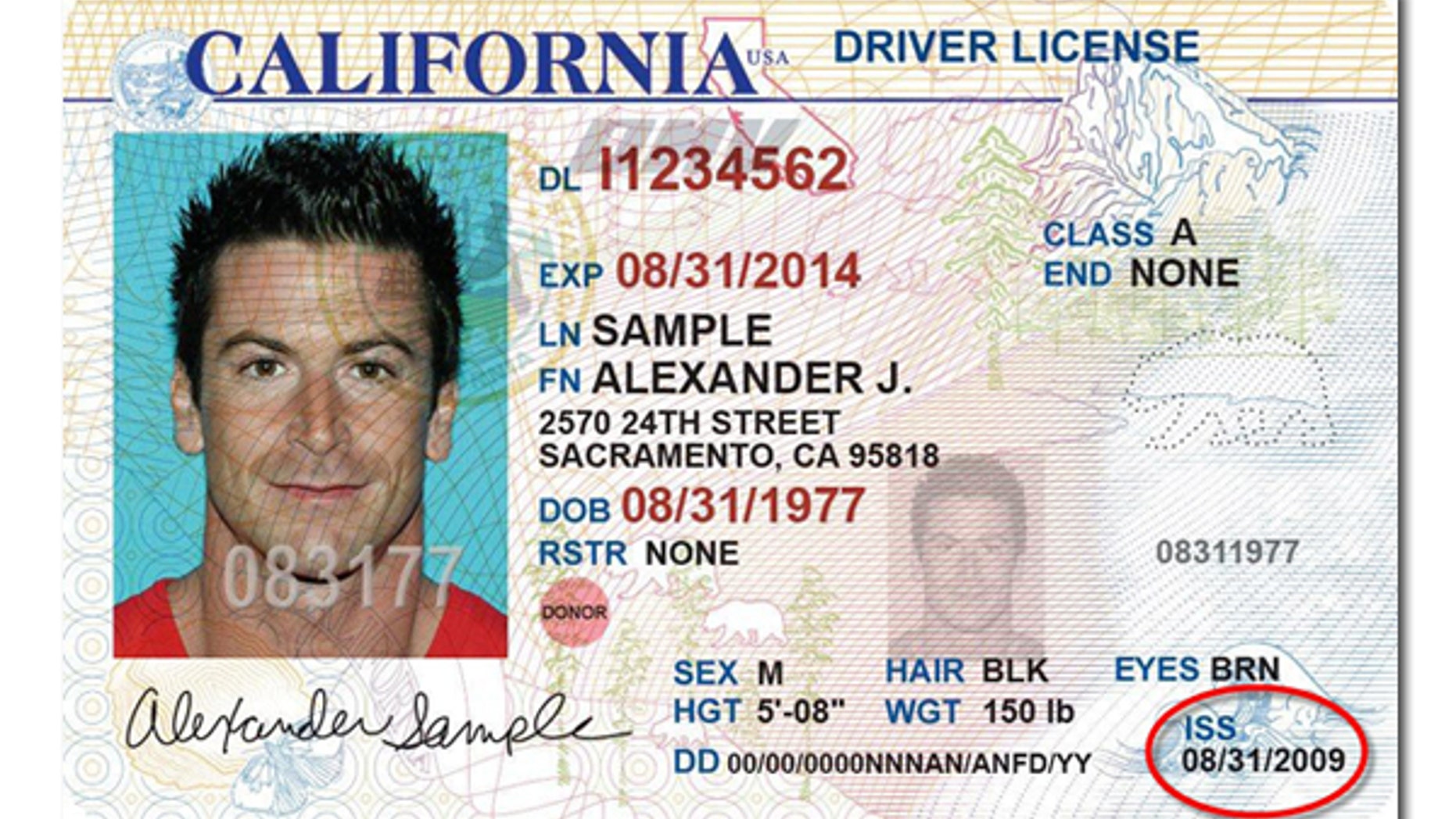 If a state Senate bill receives Gov. Jerry Brown's signature, California driver's licenses will offer a third gender option. Above is a sample California license.