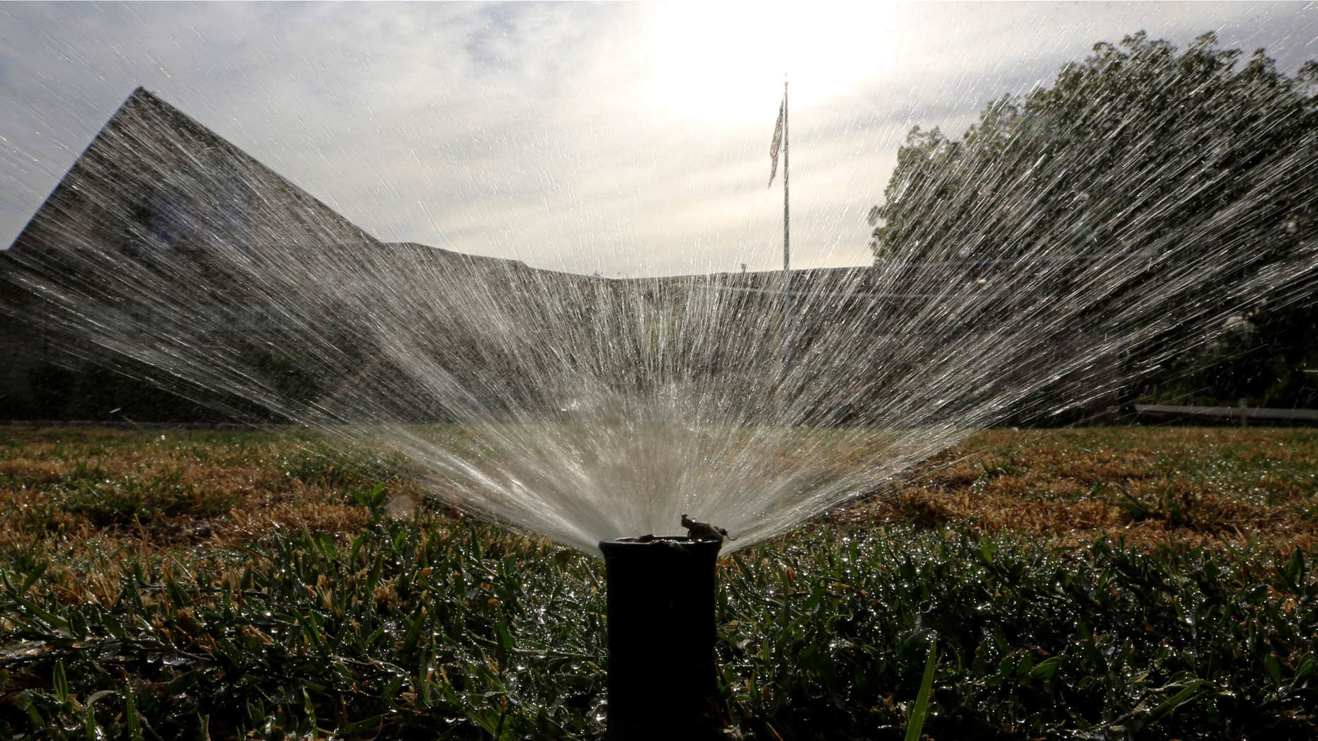 July 15, 2014: Sprinklers water a lawn in Sacramento, Calif.