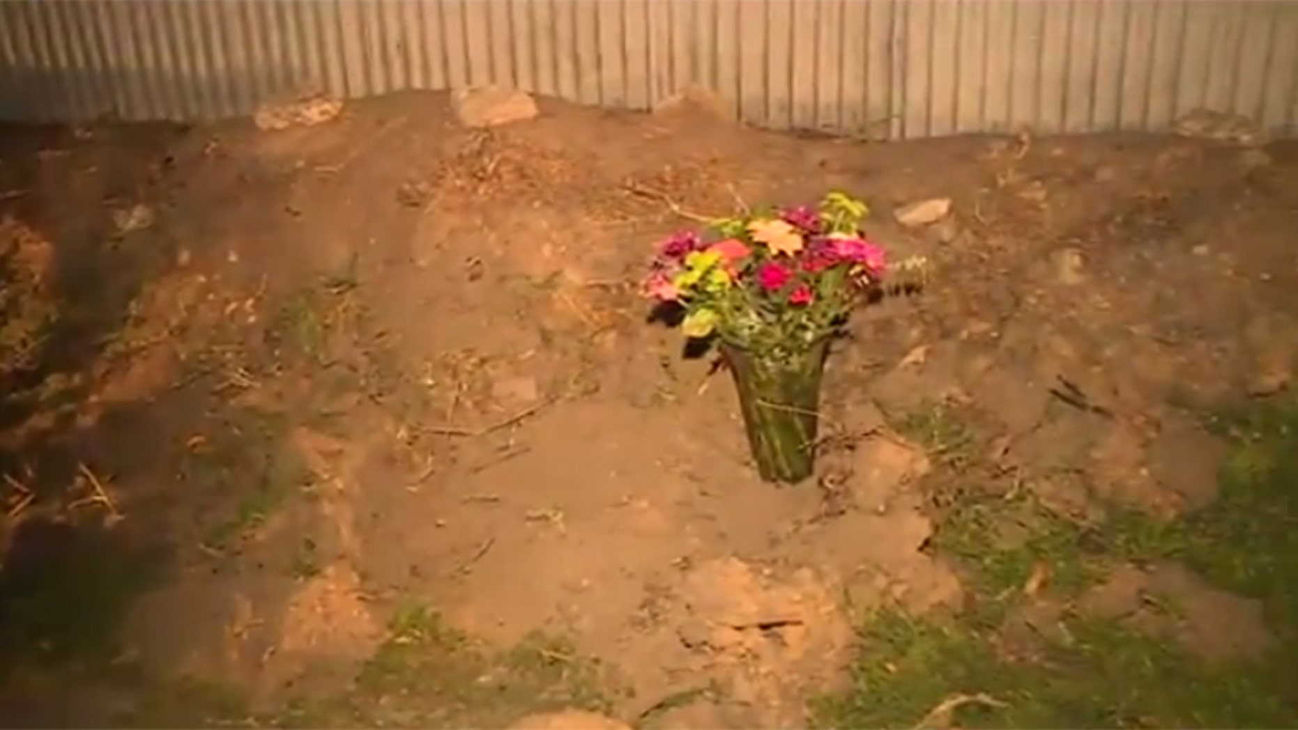 Police believe a pack of dogs mauled a woman to death in Modesto, Calif.