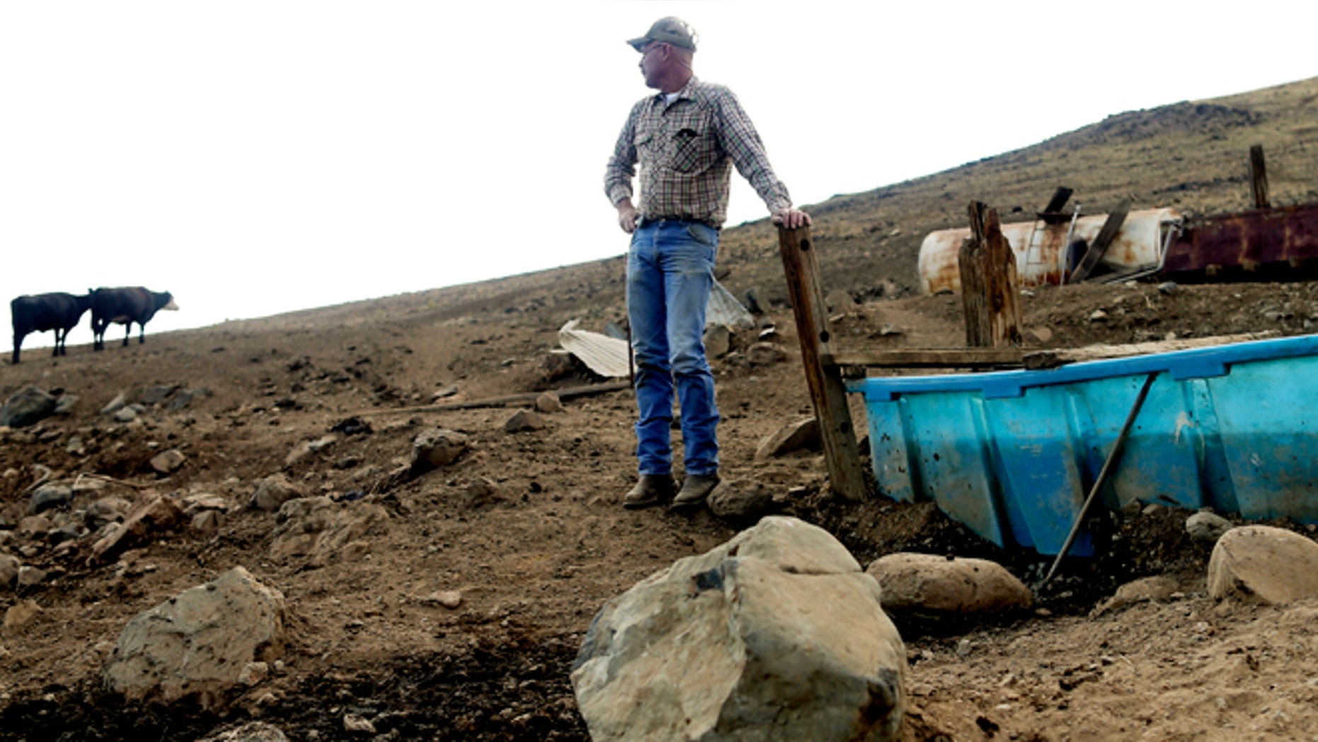July 2, 2015: Rancher Steve Drumright looks toward his cattle, grazing on a barren hillside in Tulare County, outside of Porterville, Calif. Drumright's herd is forced to search the parched Tulare County hills for the dwindling vegetation as California endures a fourth year of drought.